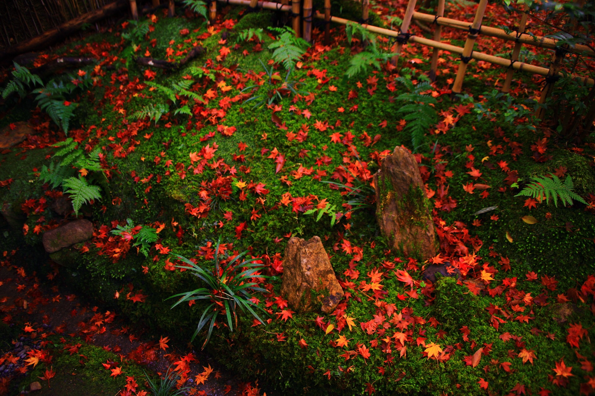 多彩な色合いの植物や散り紅葉や石