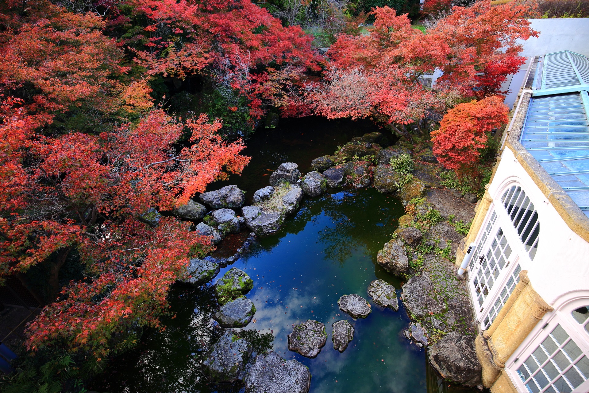 上から見下ろす違う雰囲気の素晴らしい秋色の池とガラスの通路