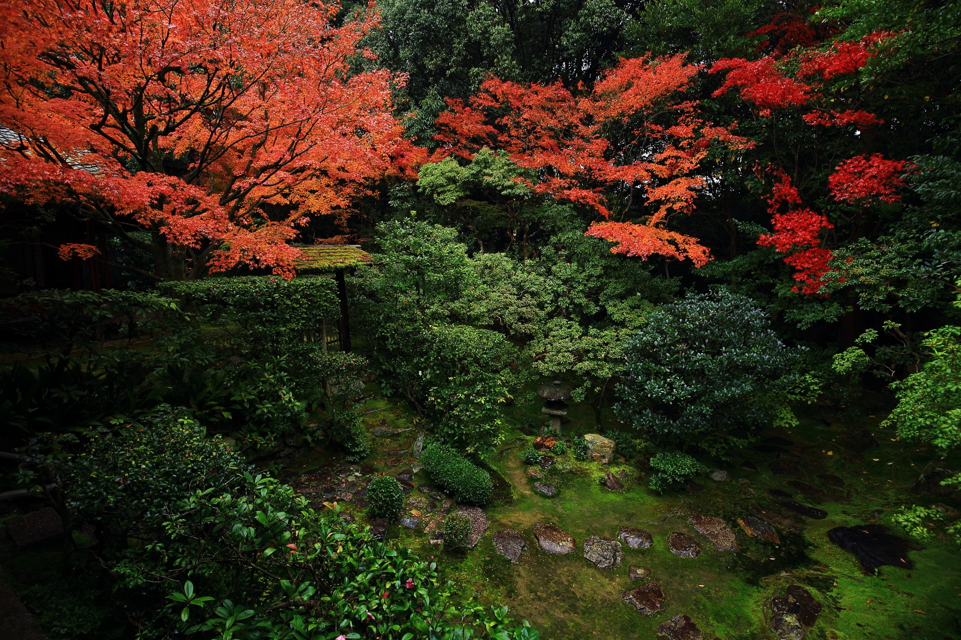 桂春院の素晴らしい紅葉と秋の庭園や情景