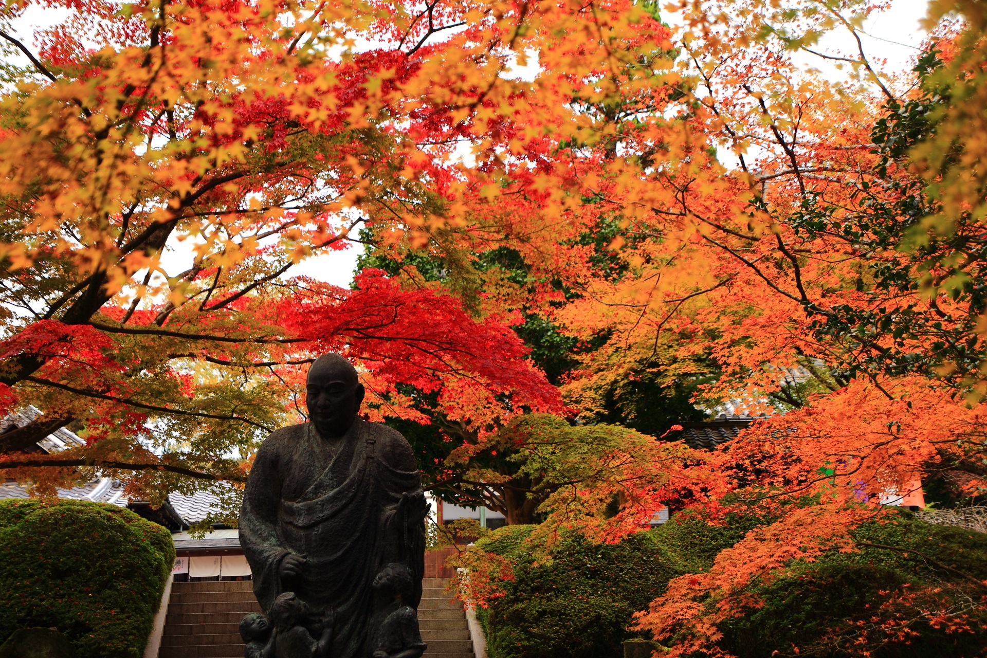 温かい色合い紅葉につつまれた下から眺めた子護大師