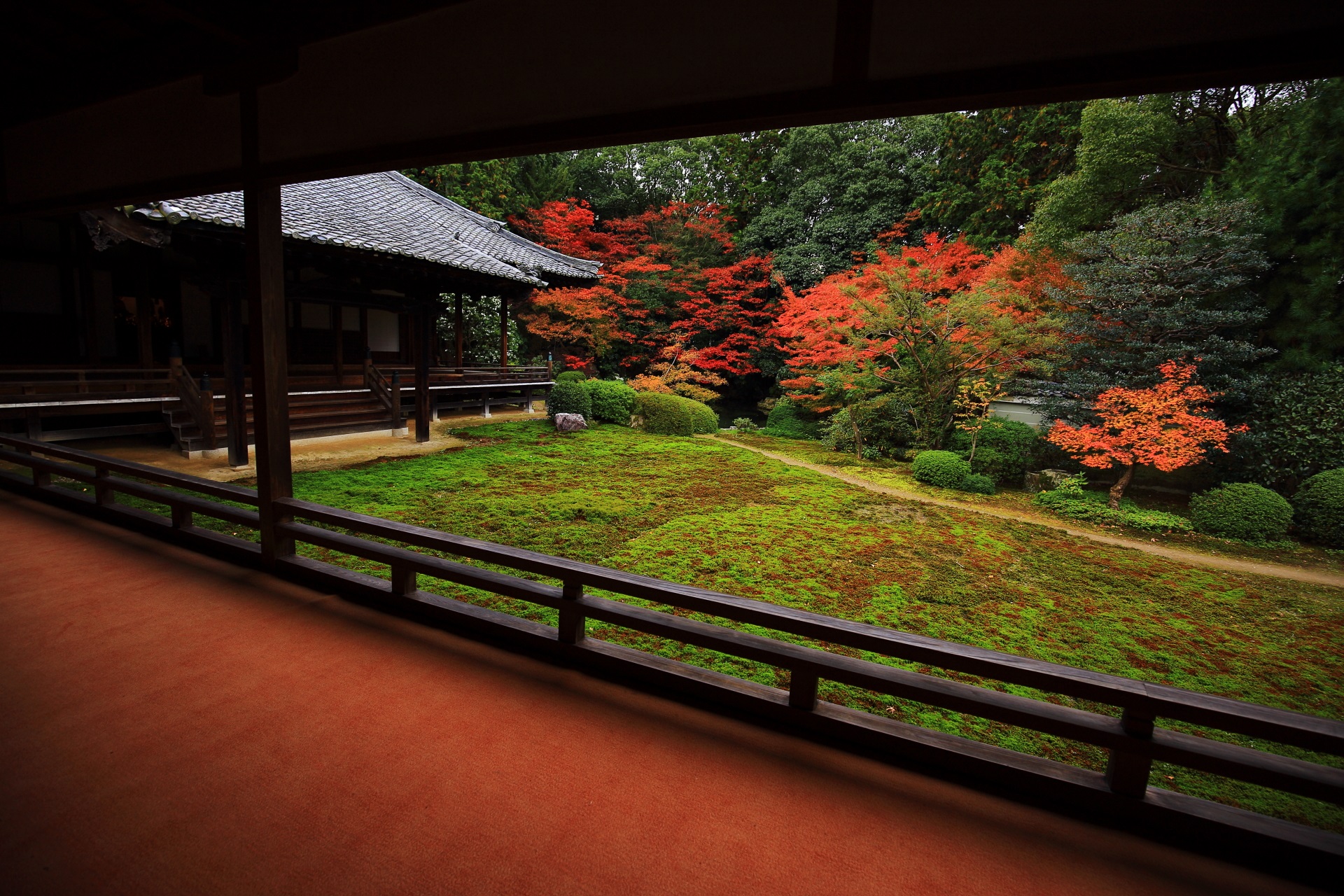赤い絨毯が演出する縁側から眺めた鮮やかな紅葉