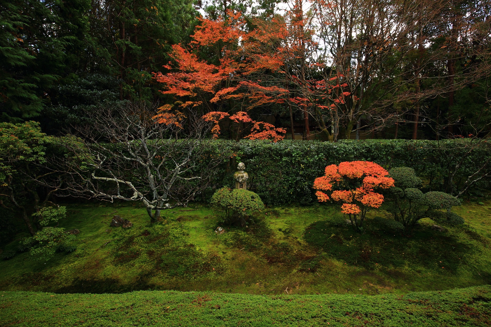桂春院の紅葉に彩られた風情ある真如の庭