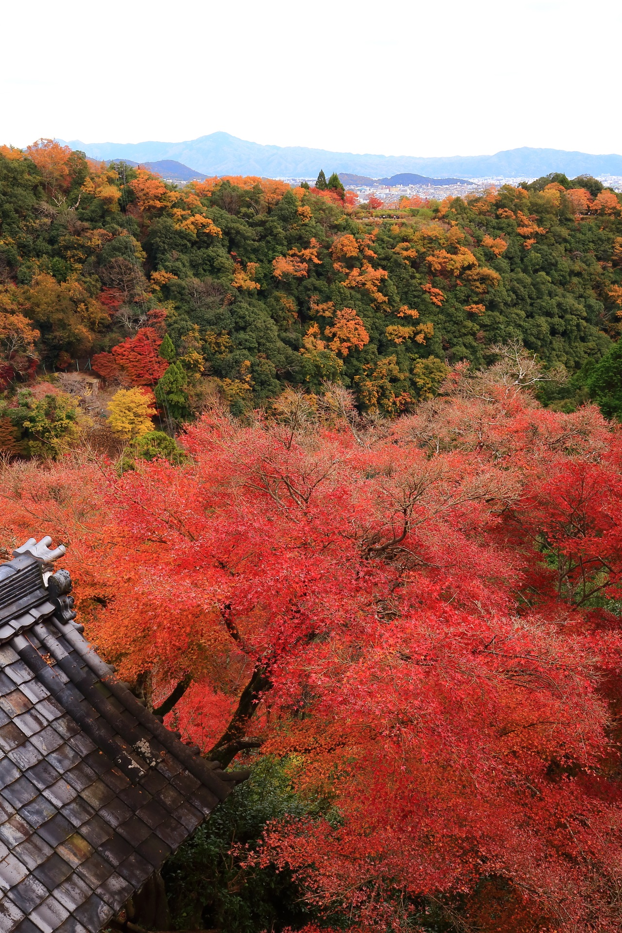 嵐山の紅葉の秘境と呼ぶにふさわしい大悲閣千光寺