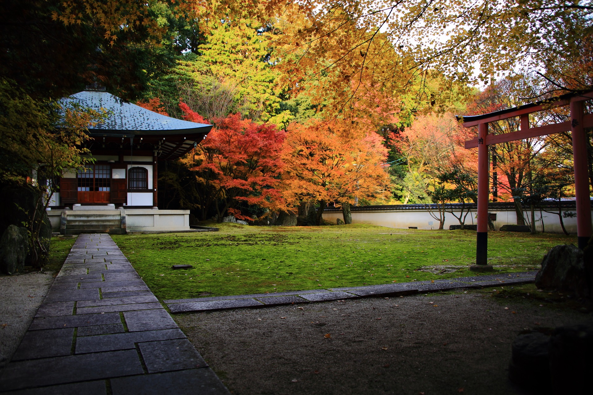 善能寺の素晴らしい紅葉と静かな秋の情景
