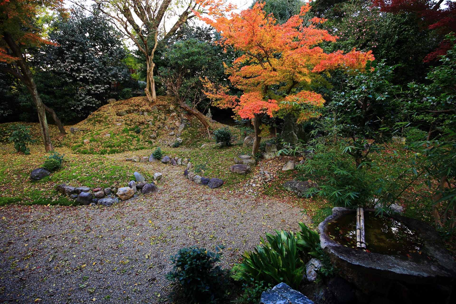立本寺の風情ある枯山水庭園に佇む鮮やかな紅葉