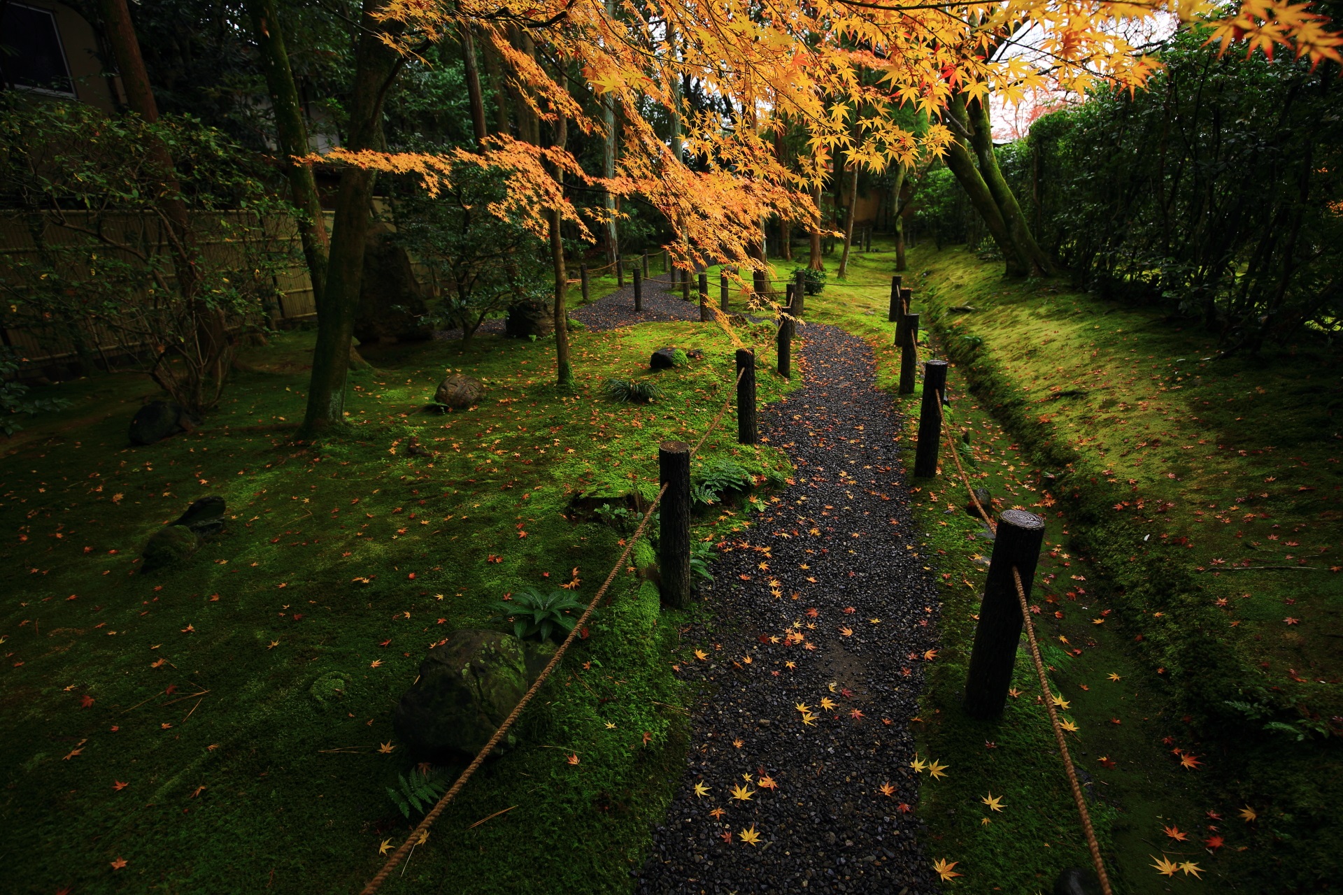 桂春院の秋色に染まる風情ある参道と苔の庭園