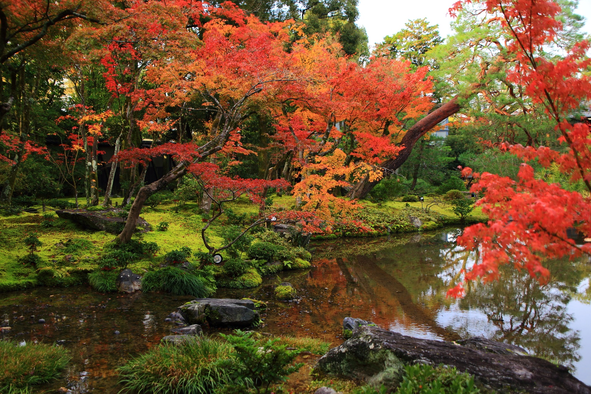 美しい水と苔の上で賑やかに溢れる無鄰菴の多彩な紅葉