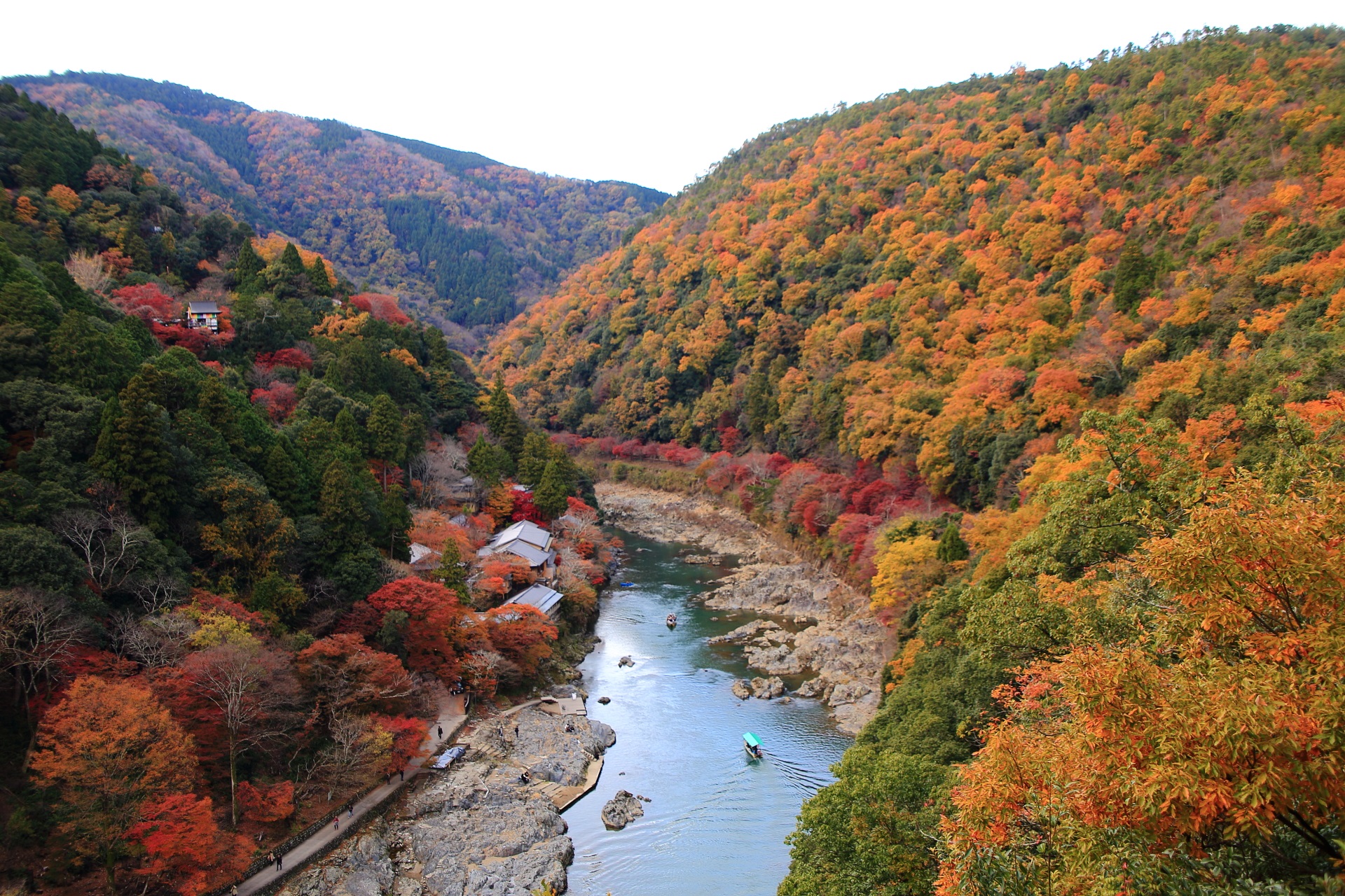 嵐山公園 亀山地区 紅葉　保津峡と嵐山の秋色の絶景