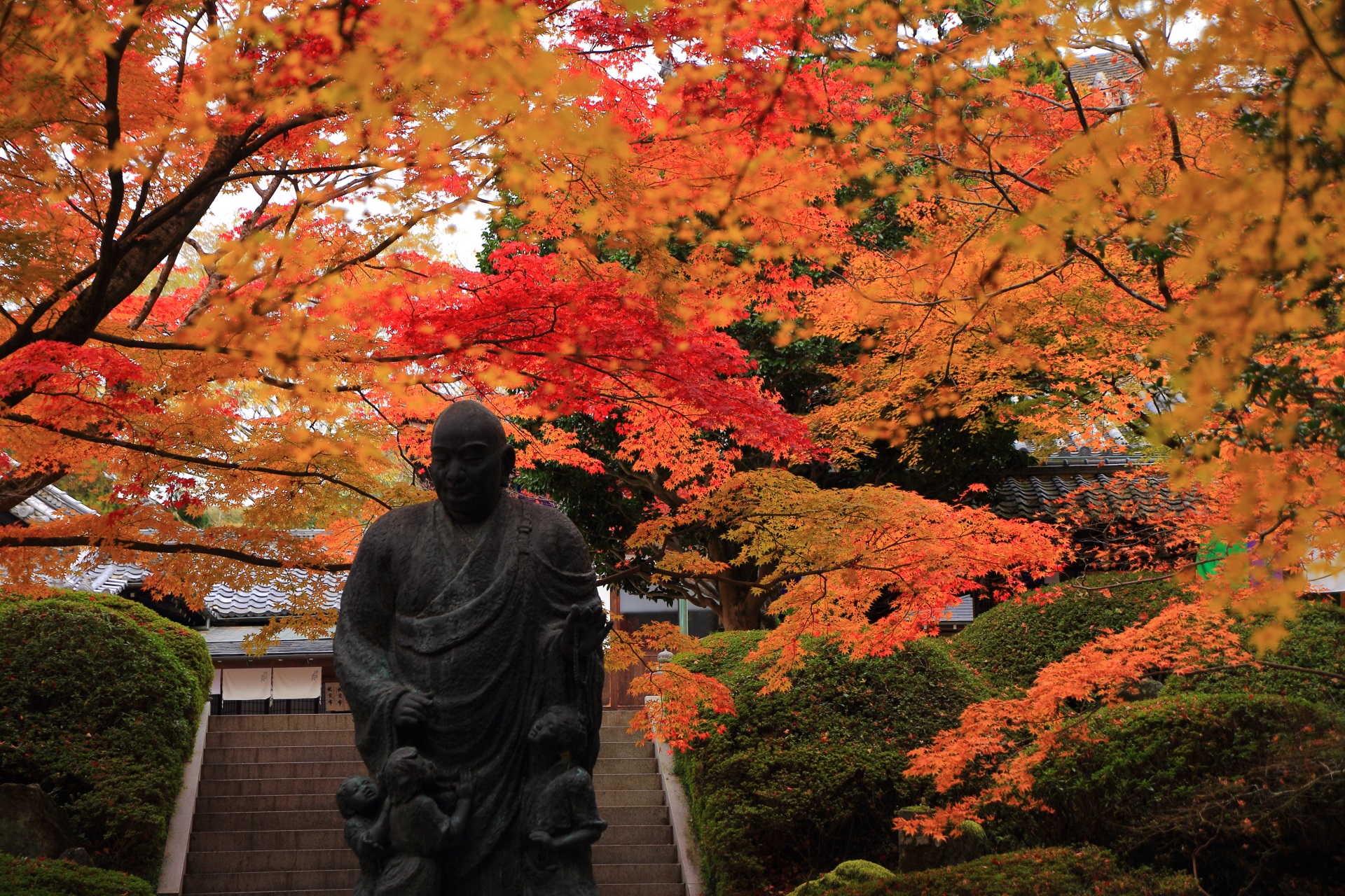 驚くほど見ごろ期間が長い今熊野観音寺の紅葉