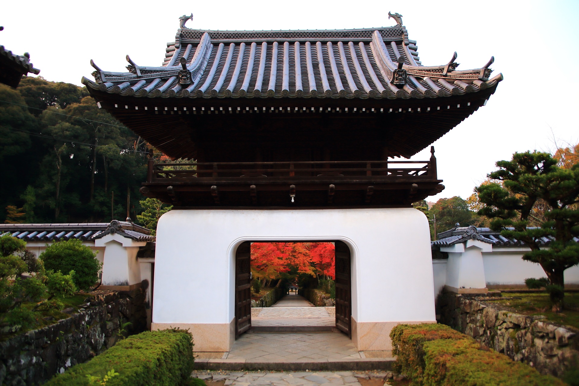 興聖寺の龍宮門とそこから続く長い琴坂を彩る紅葉