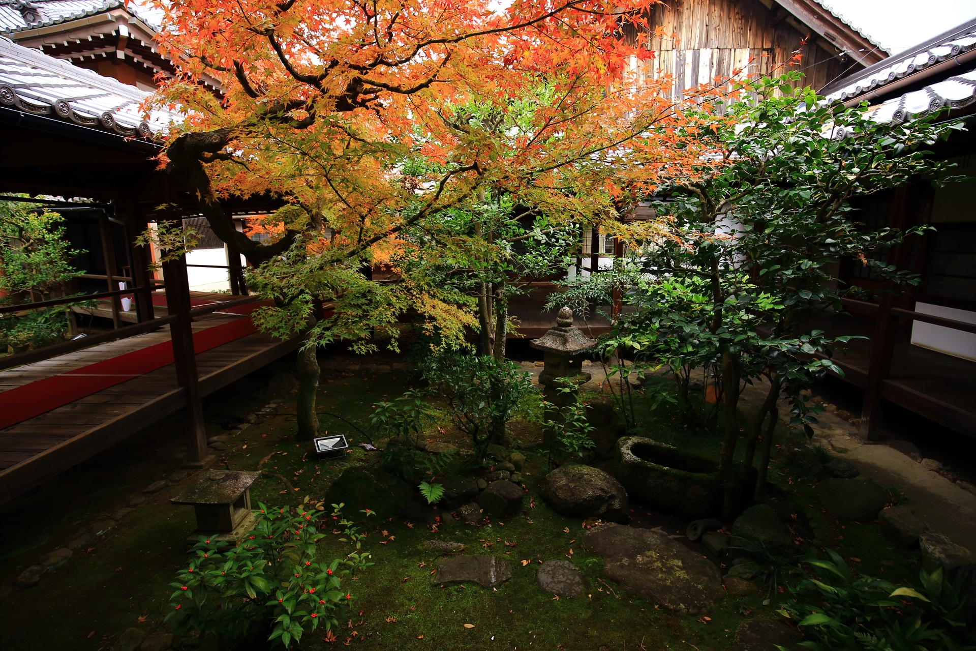 本法寺の風情ある「蹲の庭」の紅葉