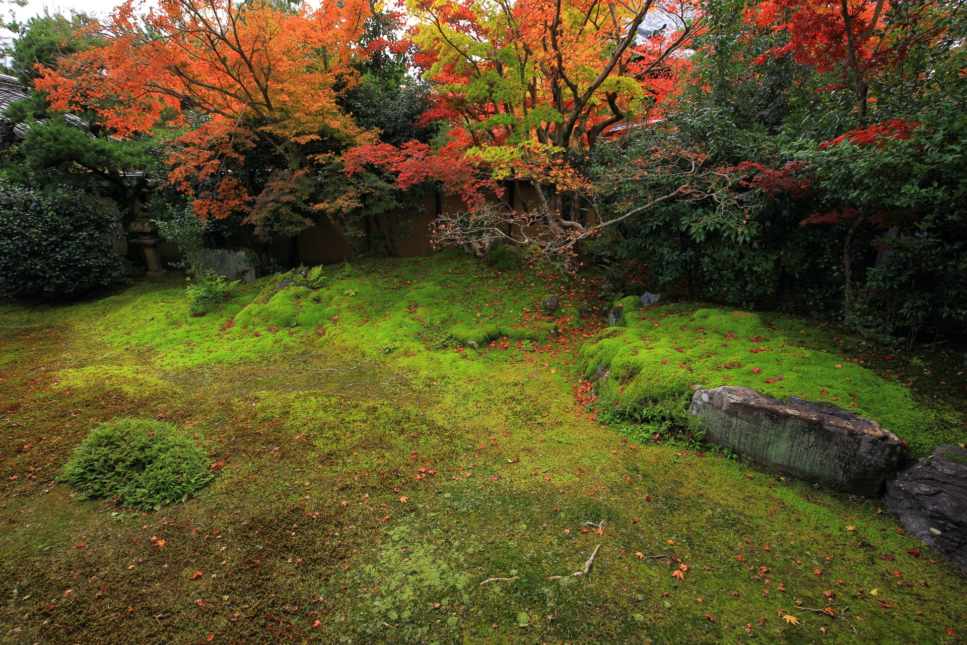 散紅葉が華やかな苔に岩を配した枯山水庭園