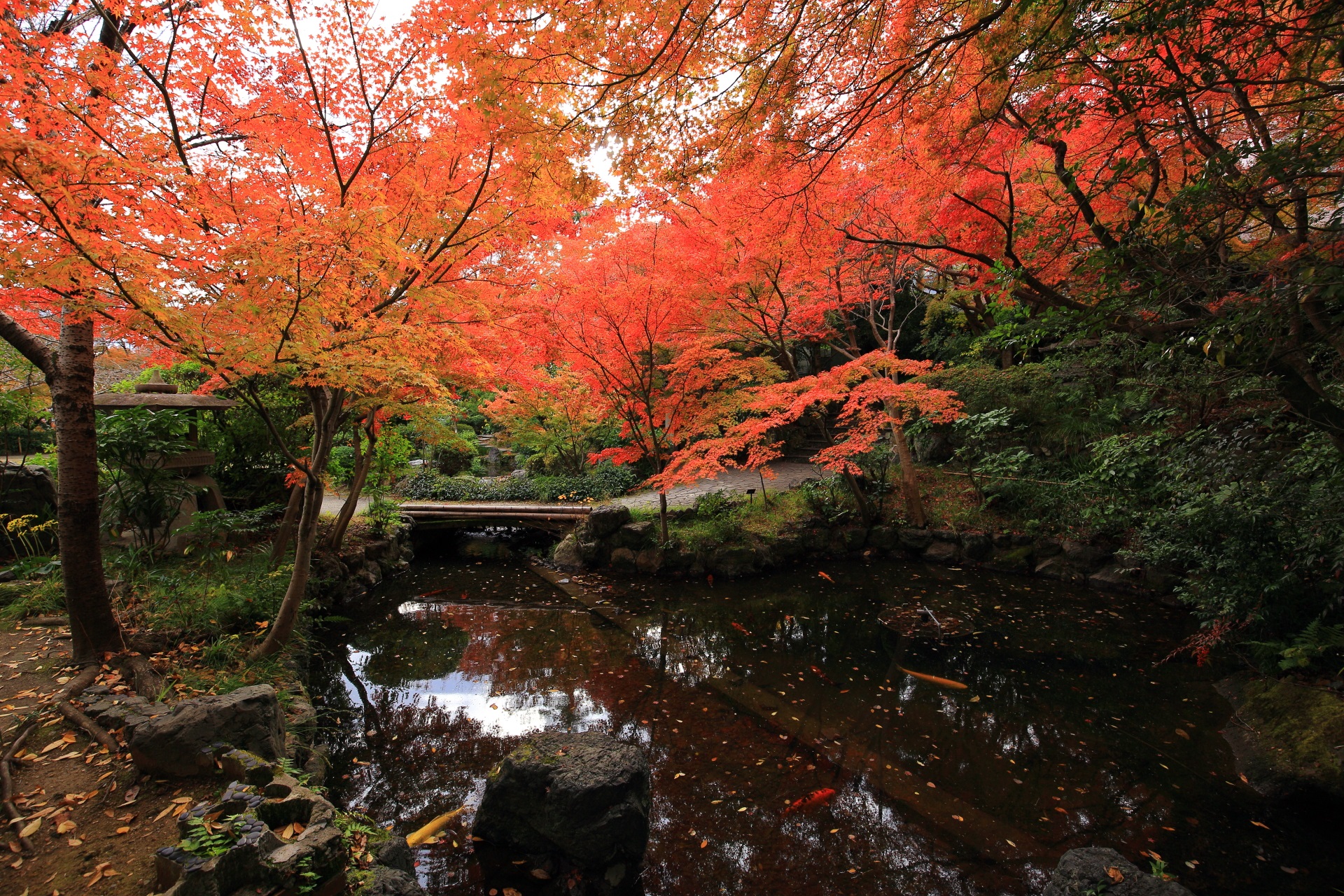 周辺は紅葉や緑につつまれる本館前の小川や池