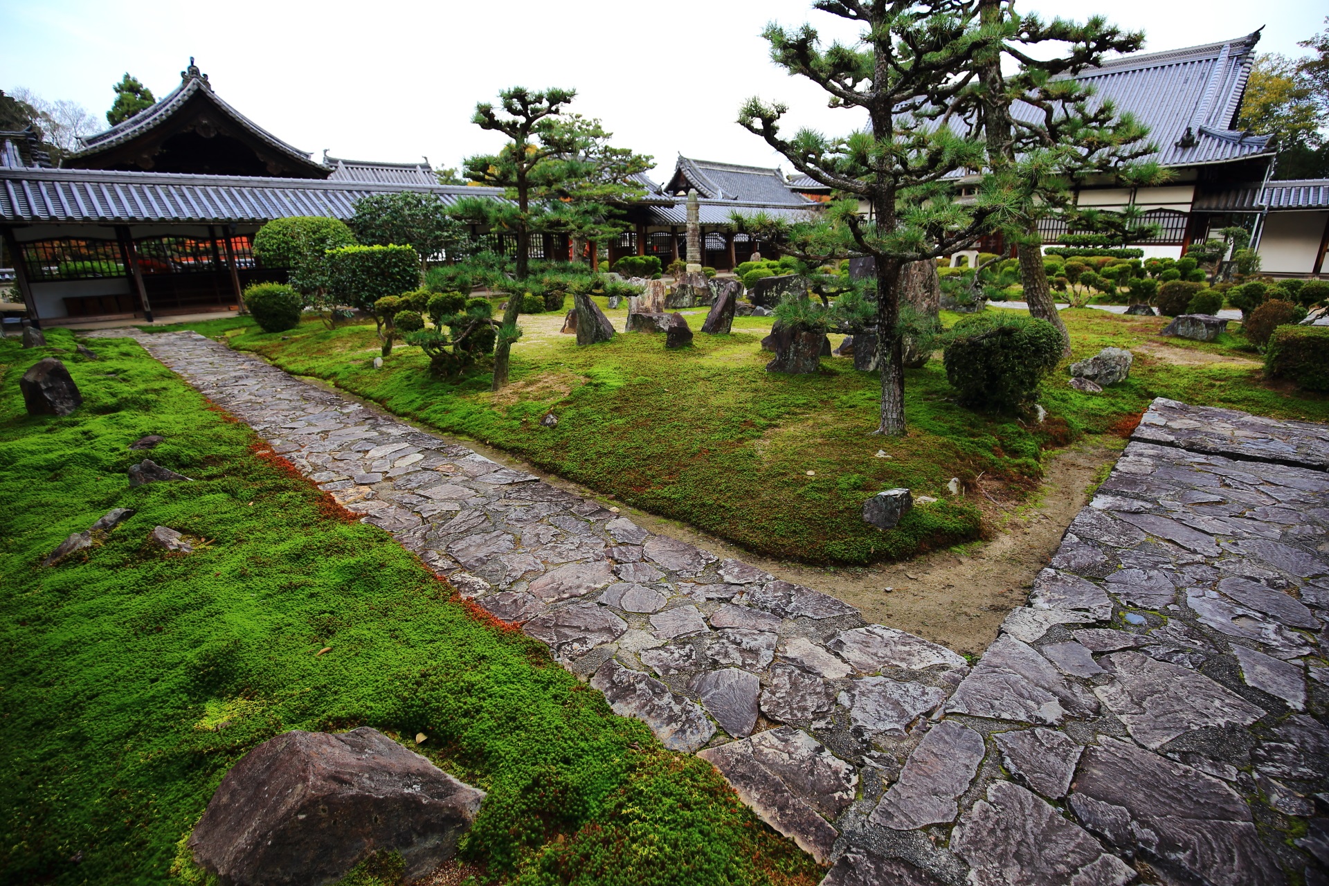 大きな岩や松の木なども配された興聖寺の穏やかさの中にも力強さが感じられる庭園