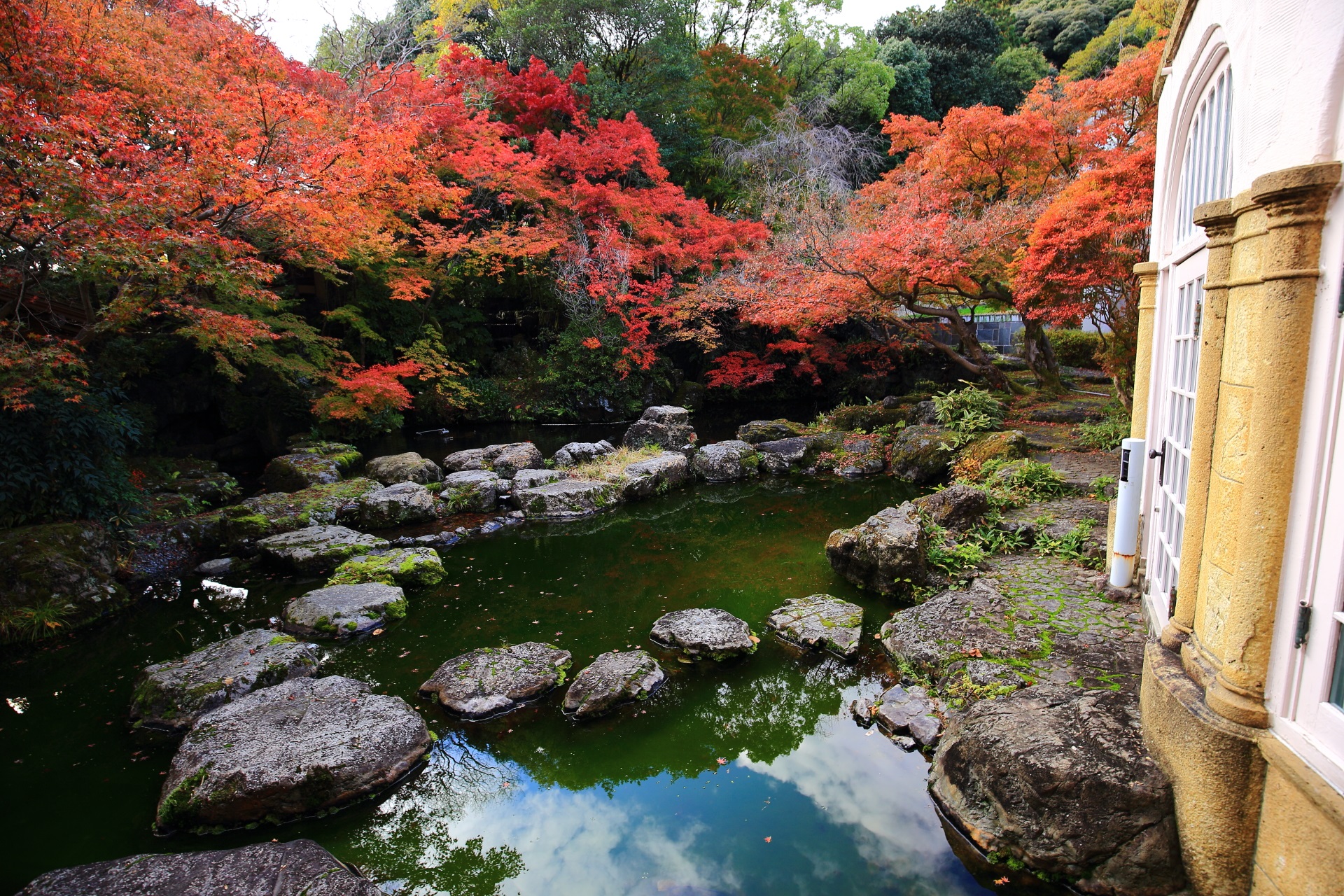 深い秋色に染まった飛び石が配された見事な池