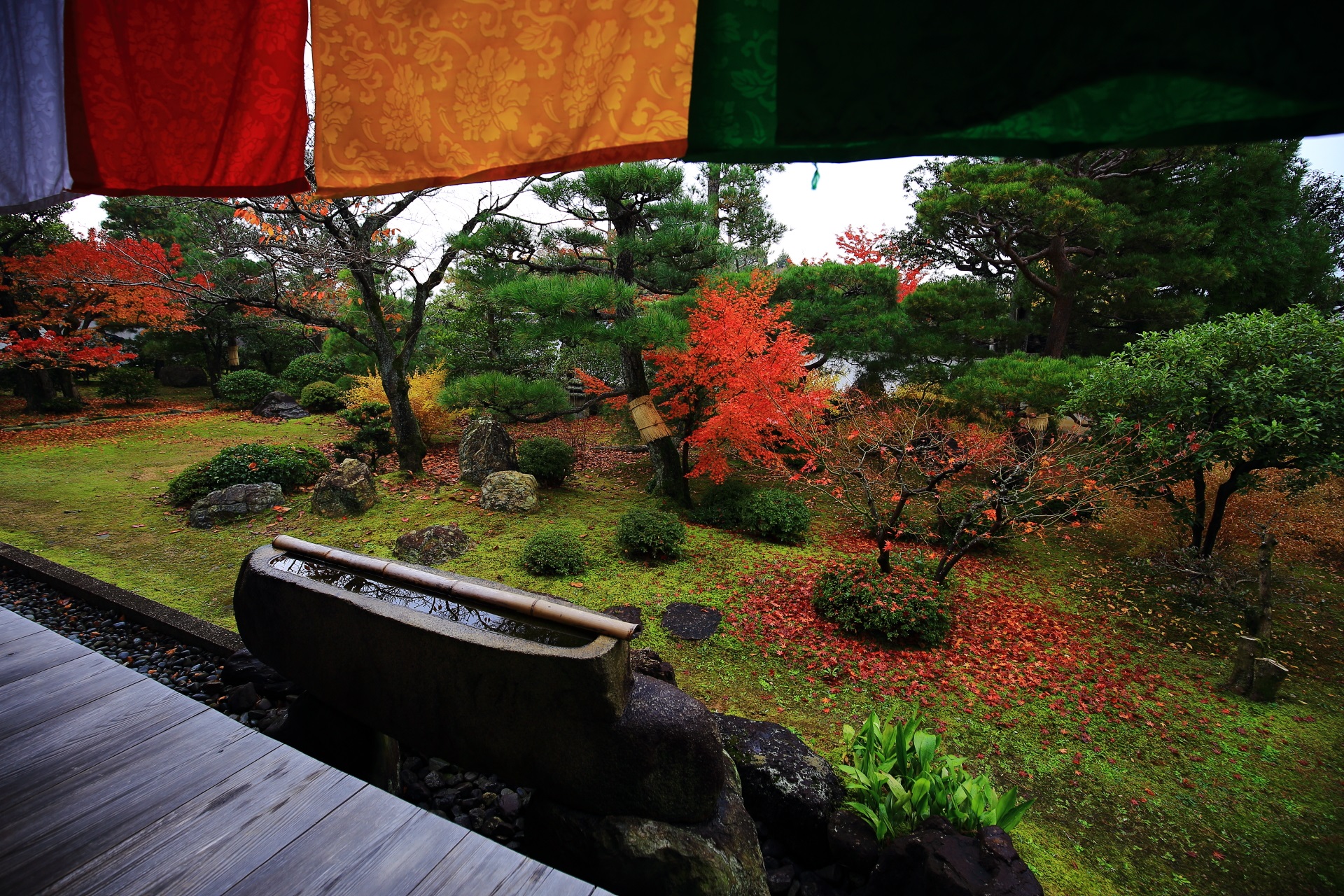 庭園と講堂を染める鮮やかな紅葉　智積院の秋の彩り