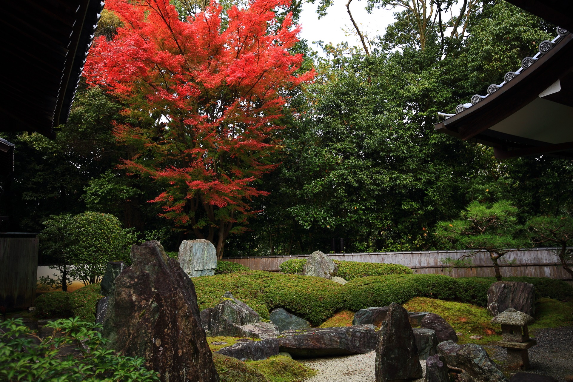 楊貴妃観音堂横の力強い岩と刈り込みの配された枯山水庭園と紅葉