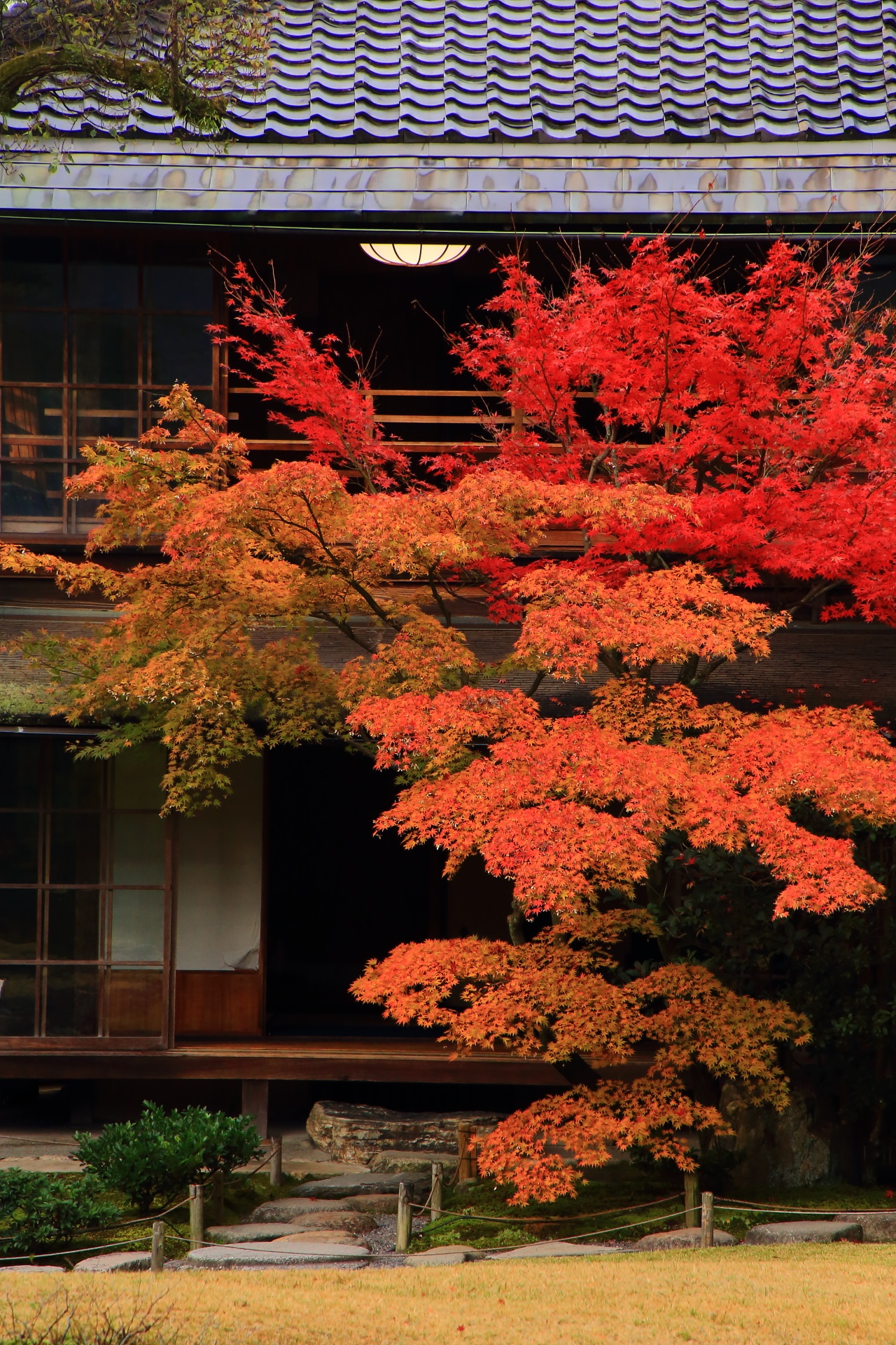 無鄰菴の趣きある建物を彩る赤色とオレンジ色の圧巻の紅葉