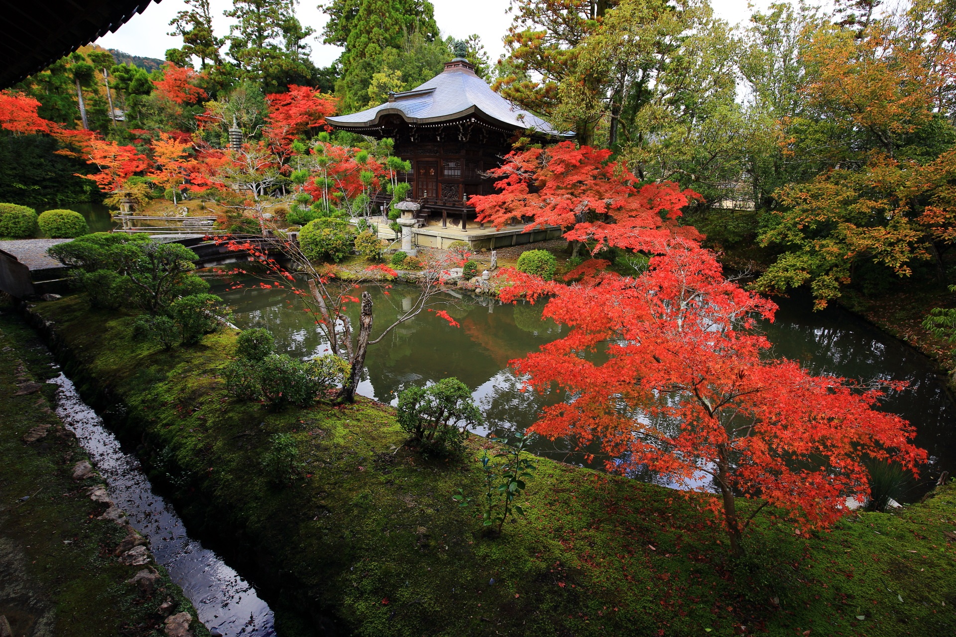 嵯峨釈迦堂の素晴らしい紅葉と秋色の情景