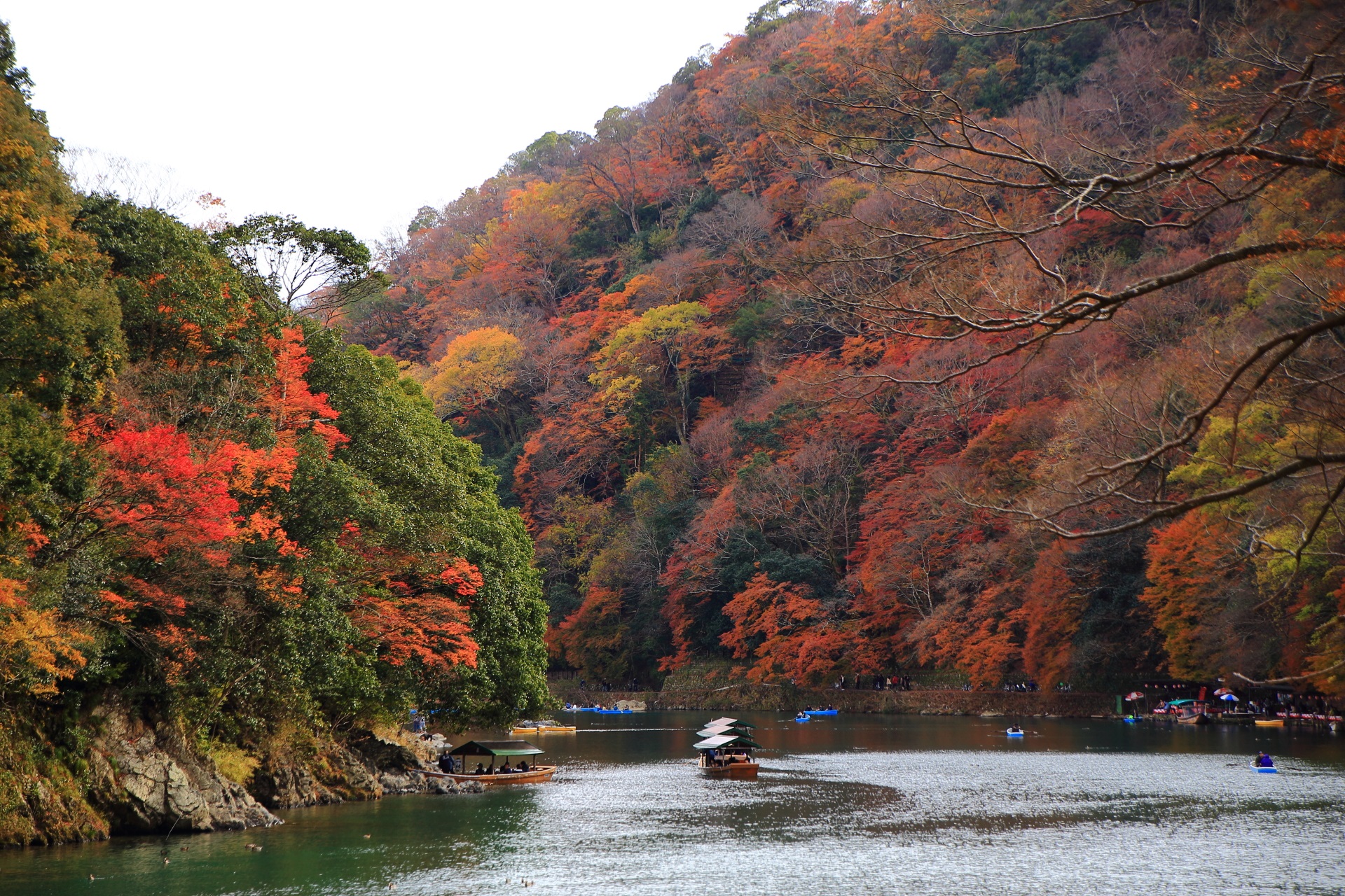 深い彩りの紅葉の溢れる嵐山と長閑な保津川