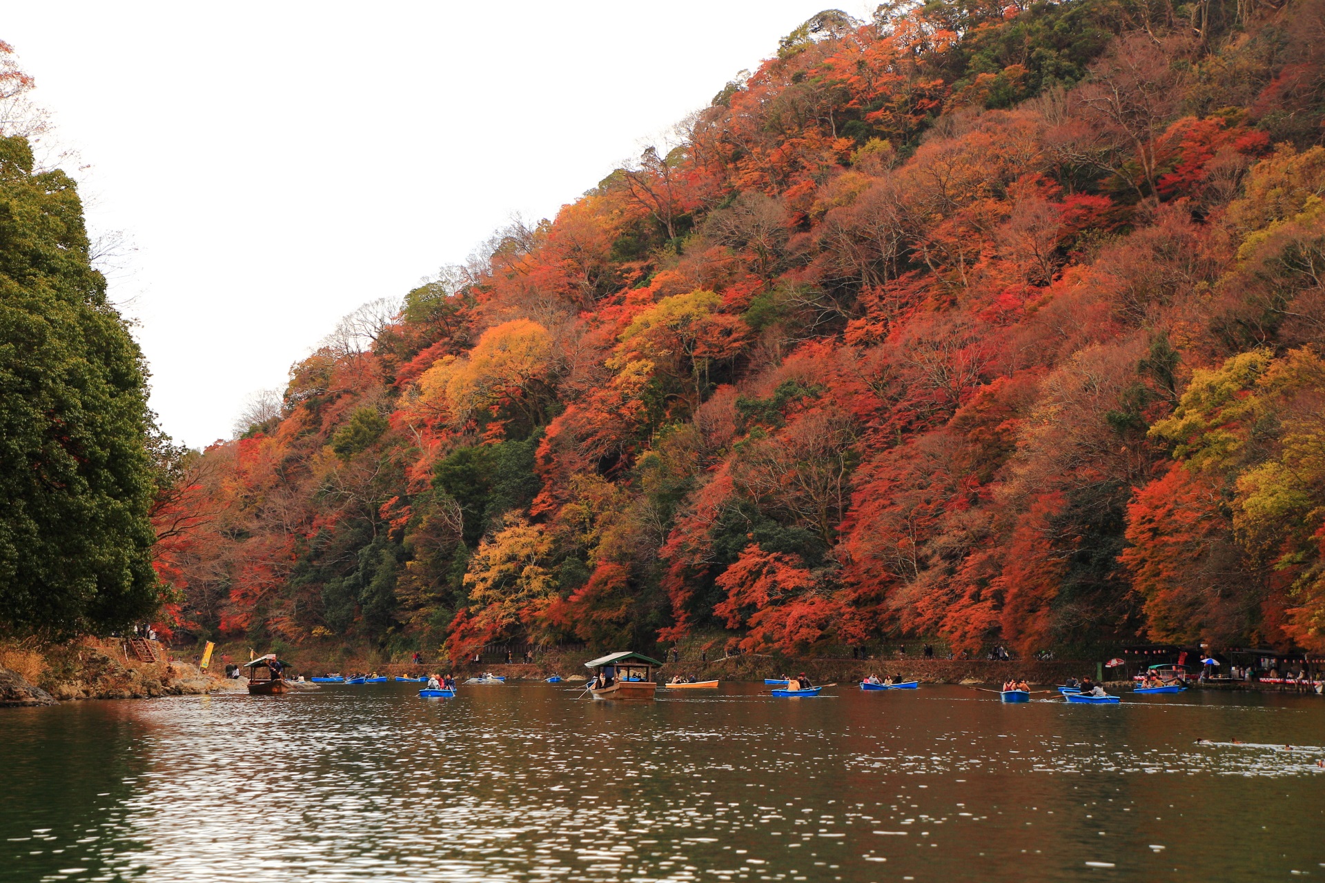 圧巻の紅葉につつまれた秋の嵐山と保津川