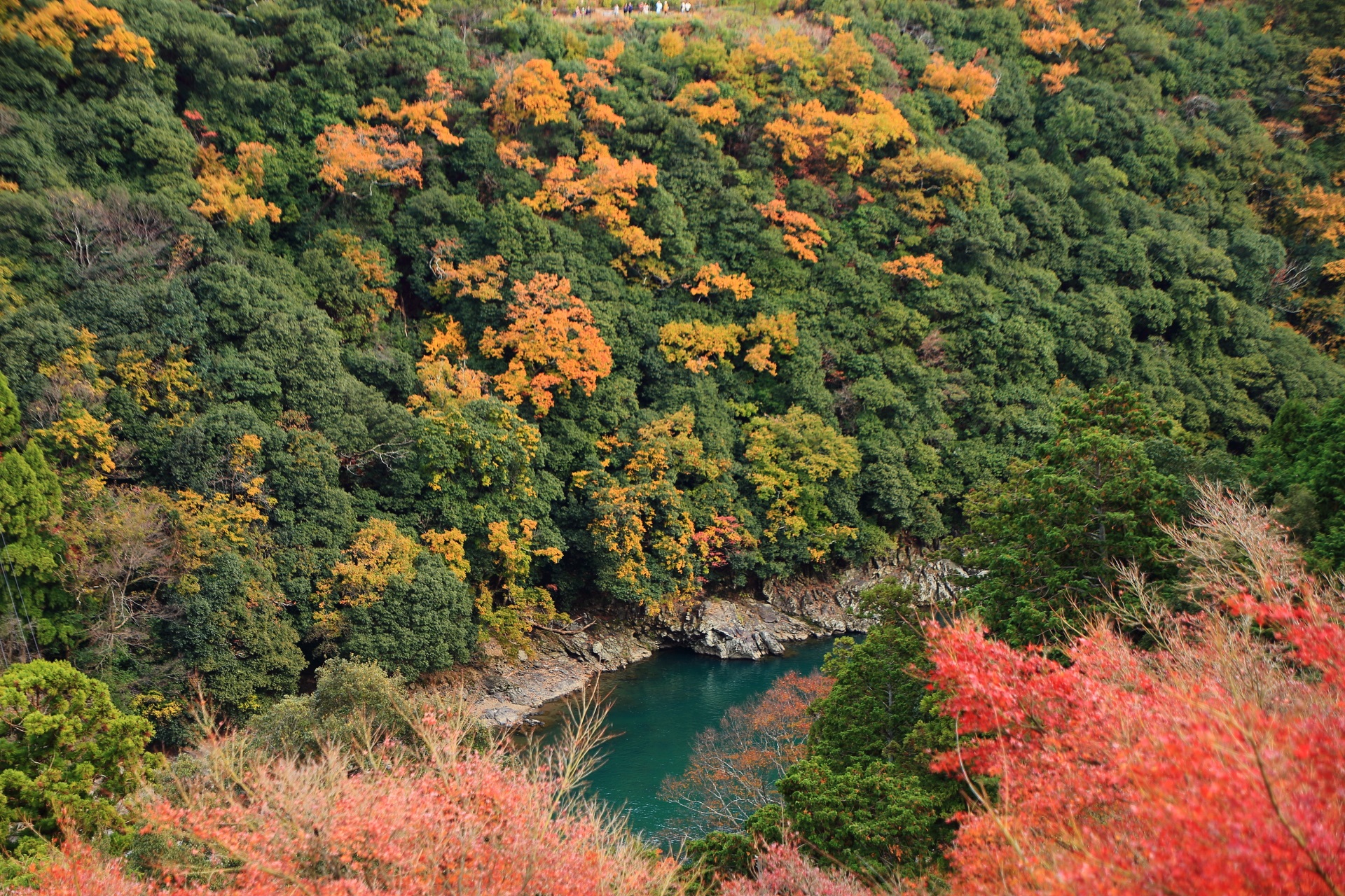 大堰川を華やぐ秋色の嵐山