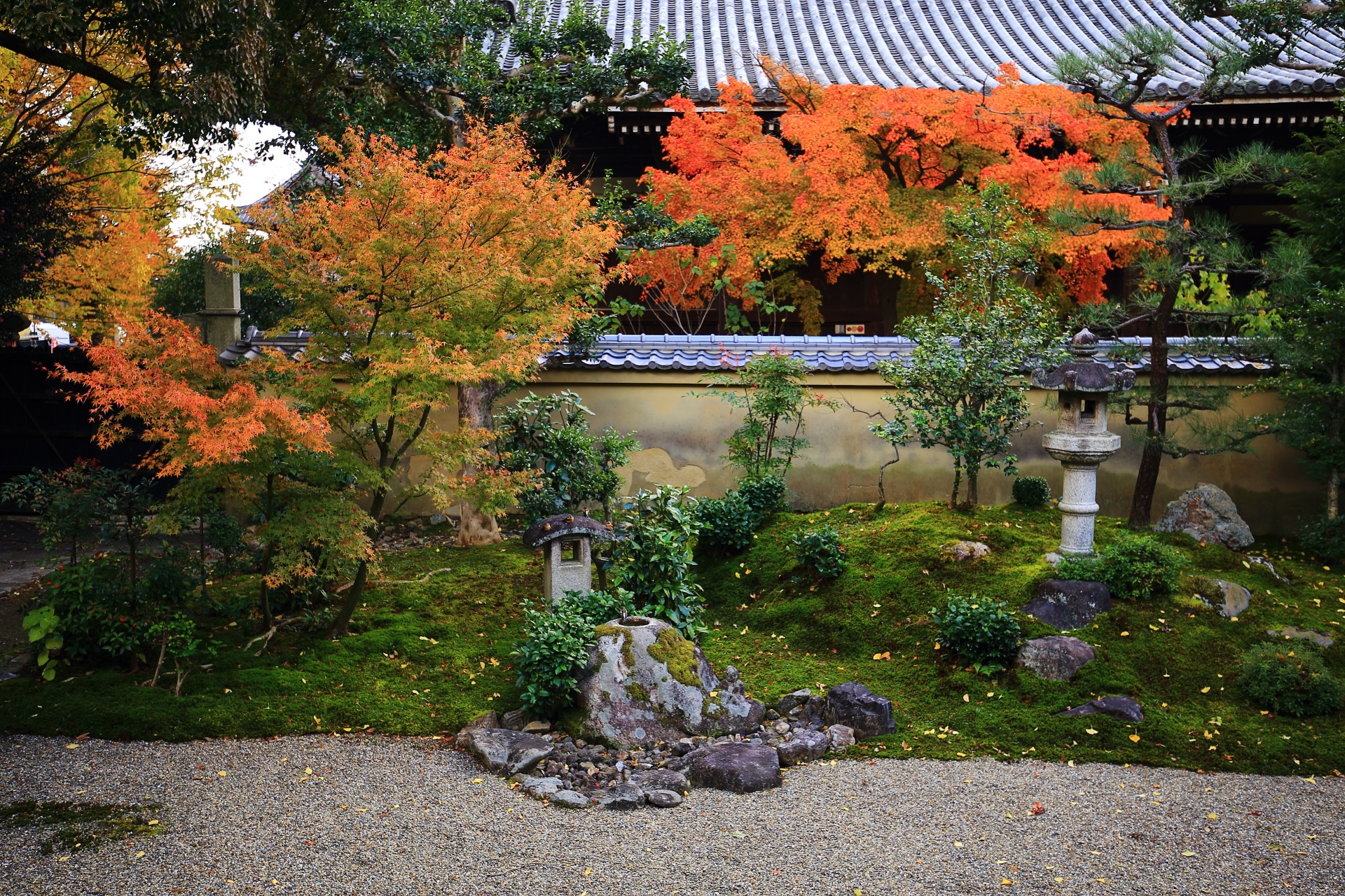 立本寺の本堂と庭園の間から溢れる鮮やかな紅葉