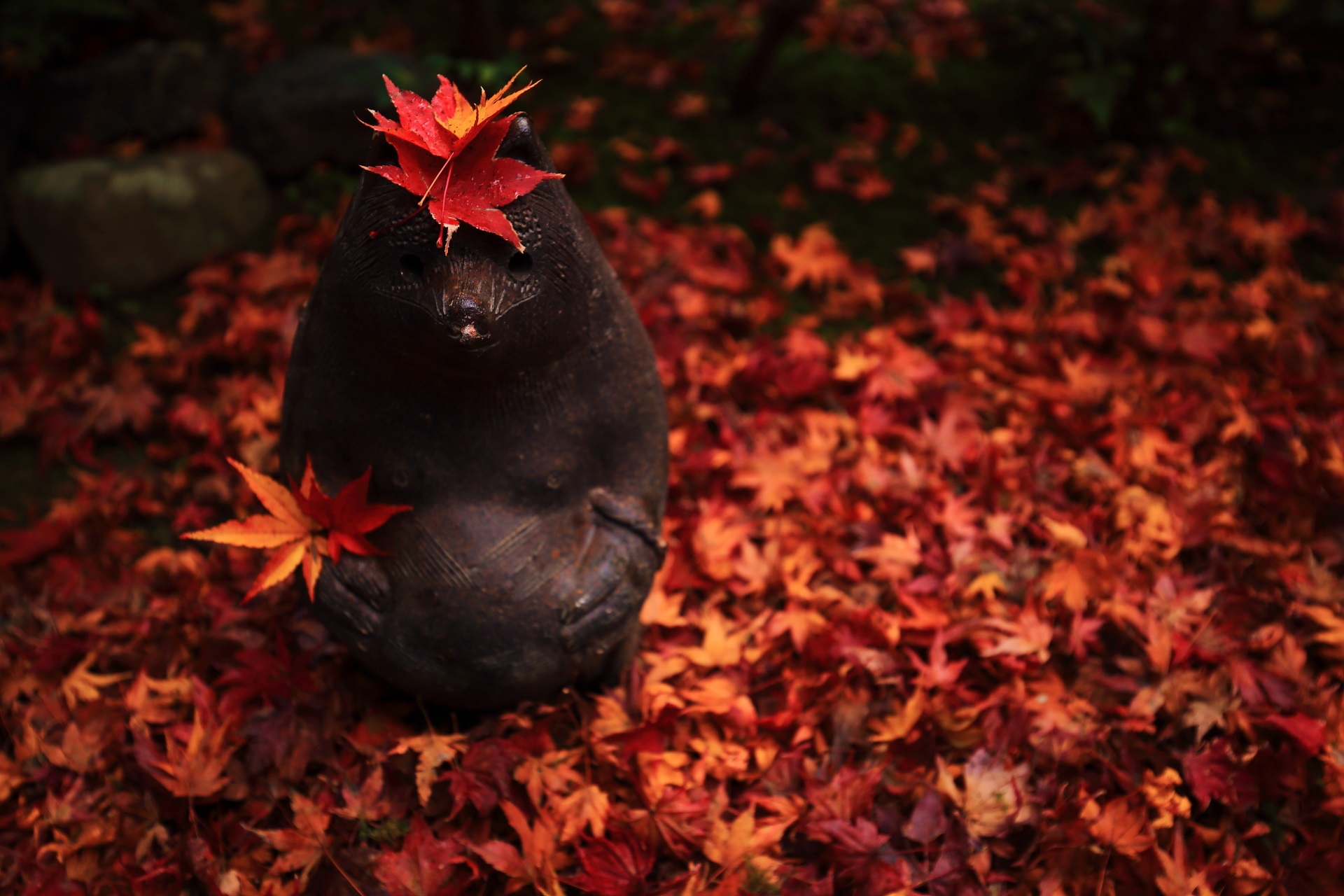 散り紅葉に埋もれた厭離庵の狸さん