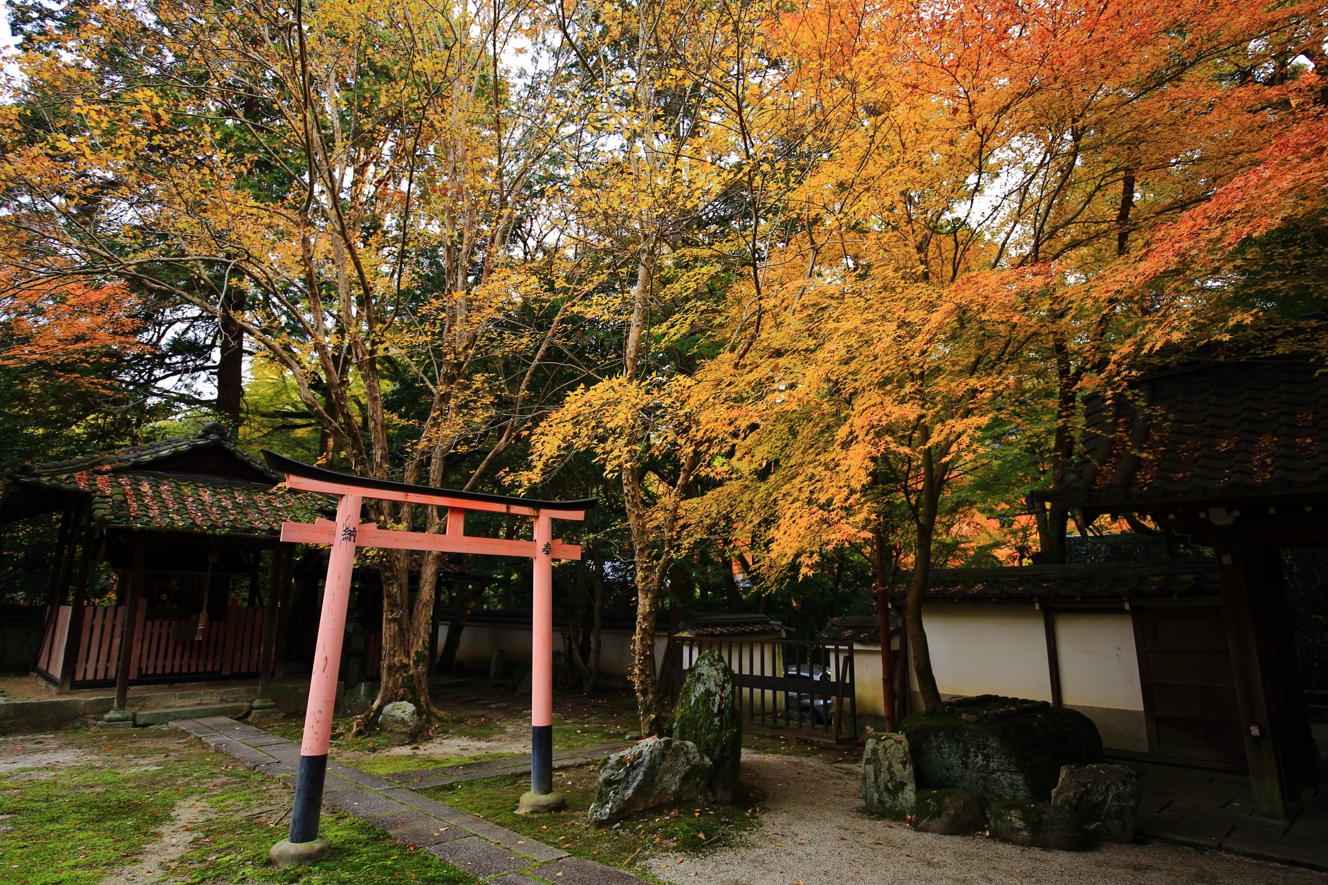 善能寺の日本最古と伝えられる稲荷社の紅葉