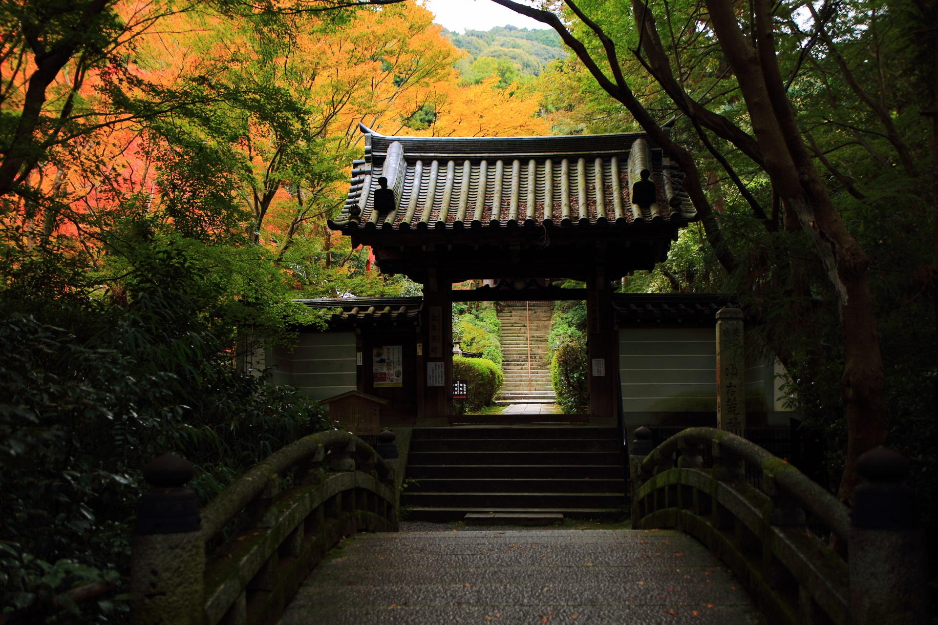 紅葉の色づく静かに佇む来迎院の山門
