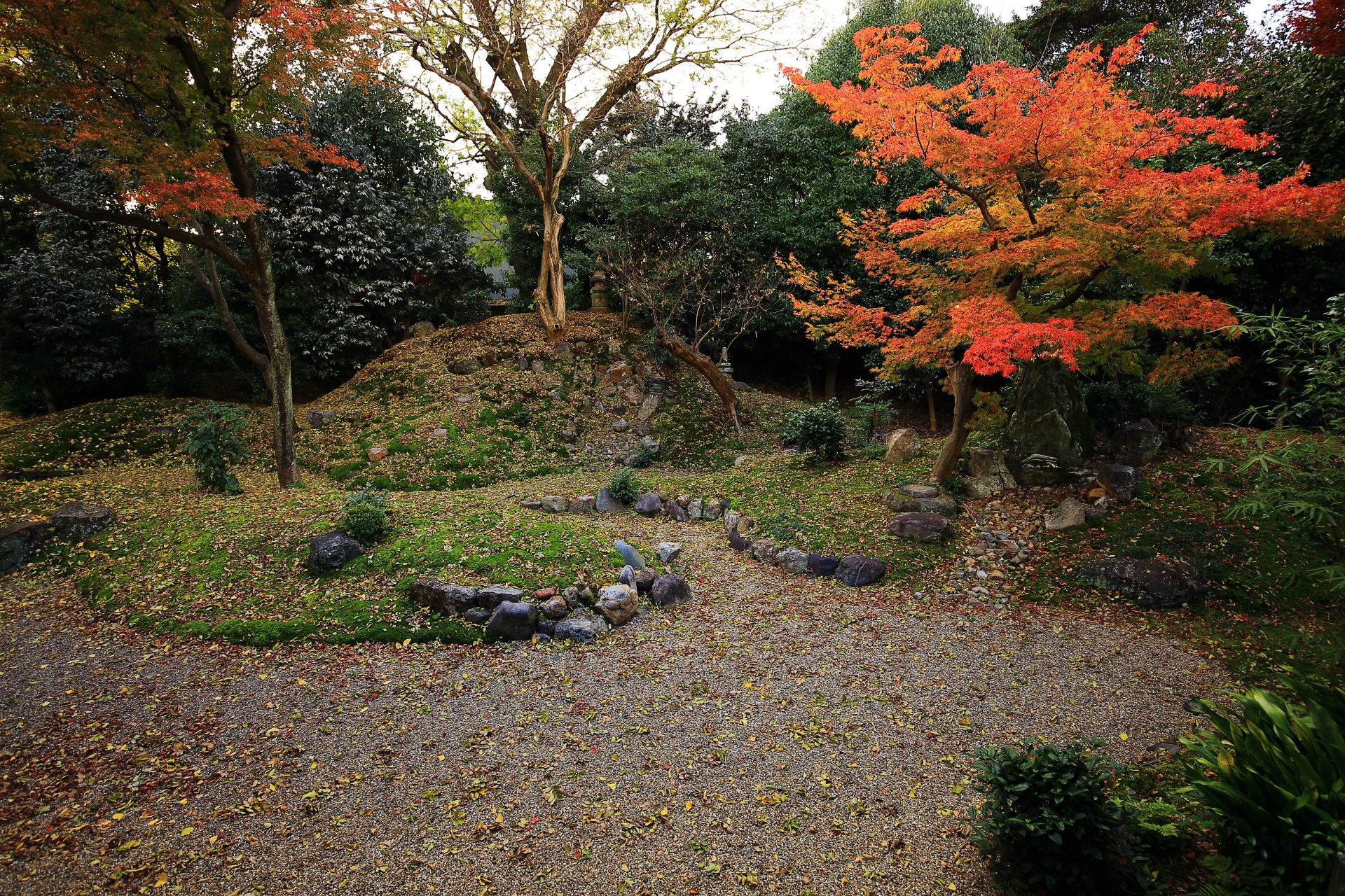 正面の築山が特徴的な紅葉に染まる立本寺の龍華庭園