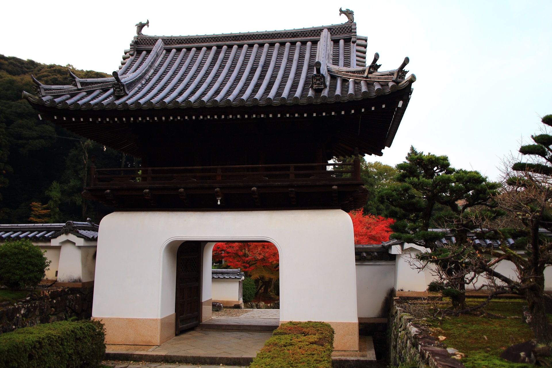 興聖寺の独特の龍宮門と琴坂の鮮やかな紅葉