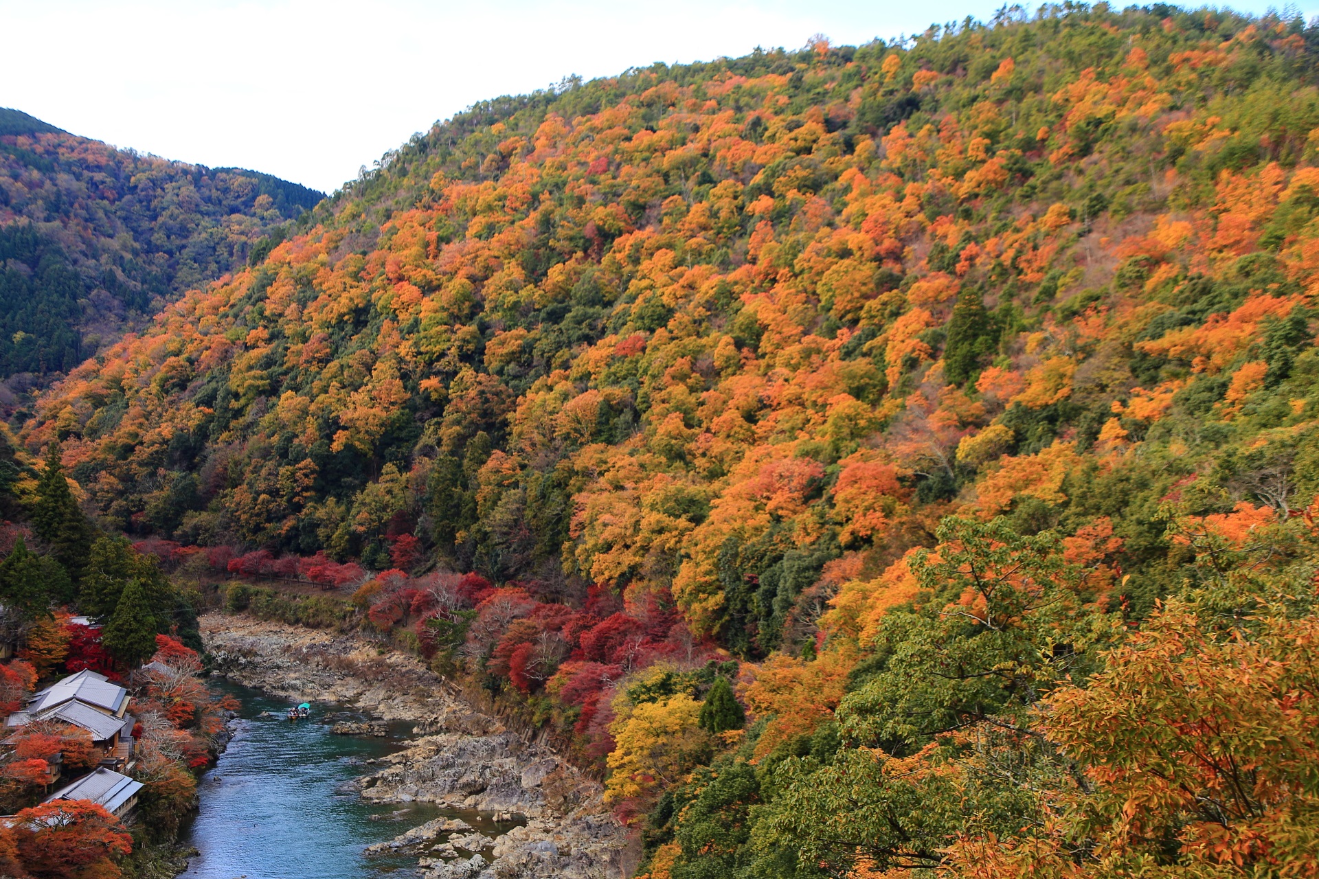 嵐山公園亀山展望台から眺めた最高の見ごろをむかえた華やかな秋色の嵐山