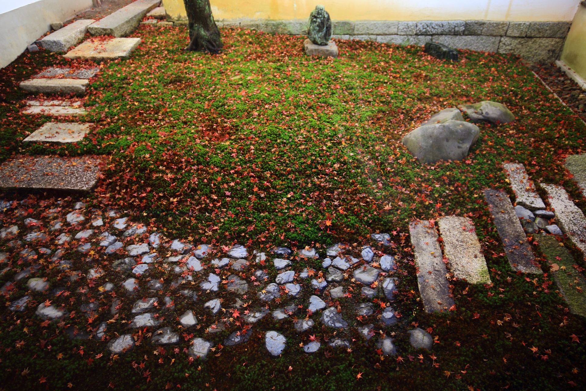 妙覚寺の箱庭の苔と石の参道を華やぐ散り紅葉