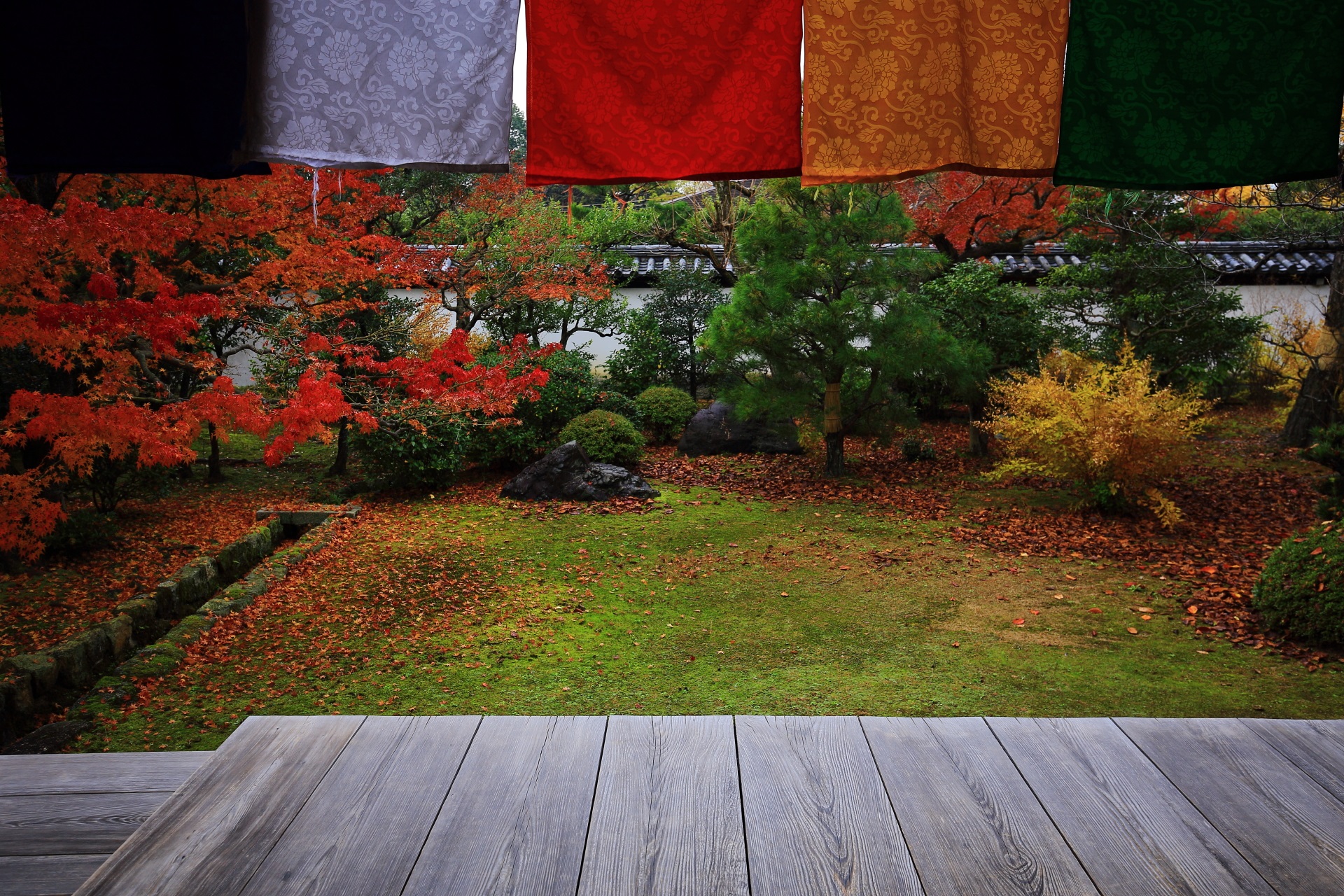 智積院の揺らめく仏旗の下から見える多彩な秋の彩り