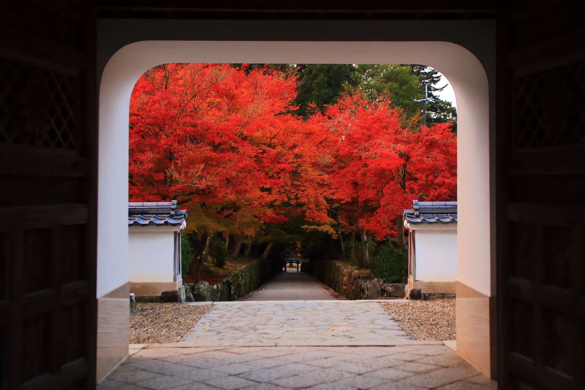 琴坂 紅葉　色とりどりの絶品のもみじと秋の興聖寺