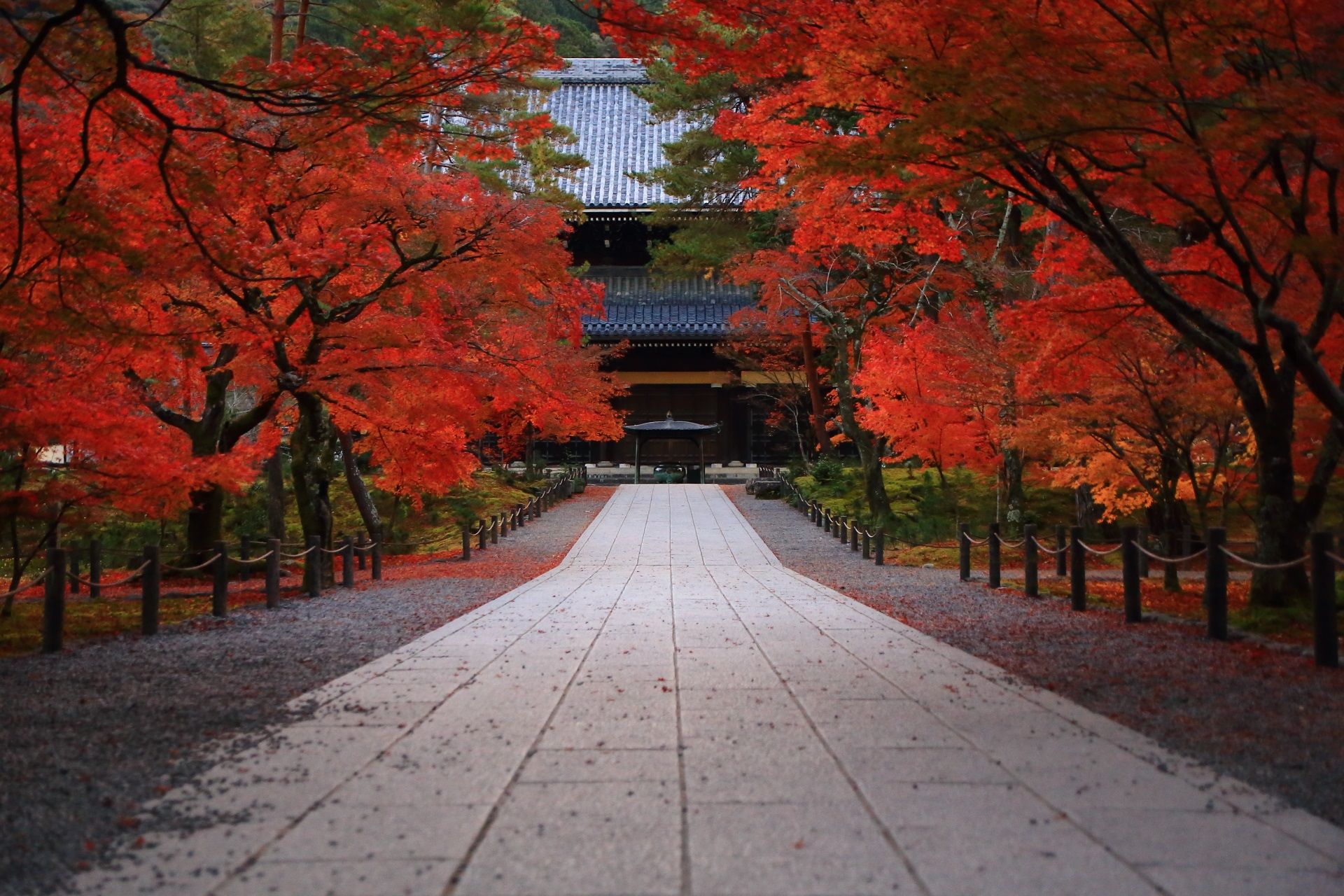 秋色にそまる法堂と風情ある参道　紅葉の南禅寺