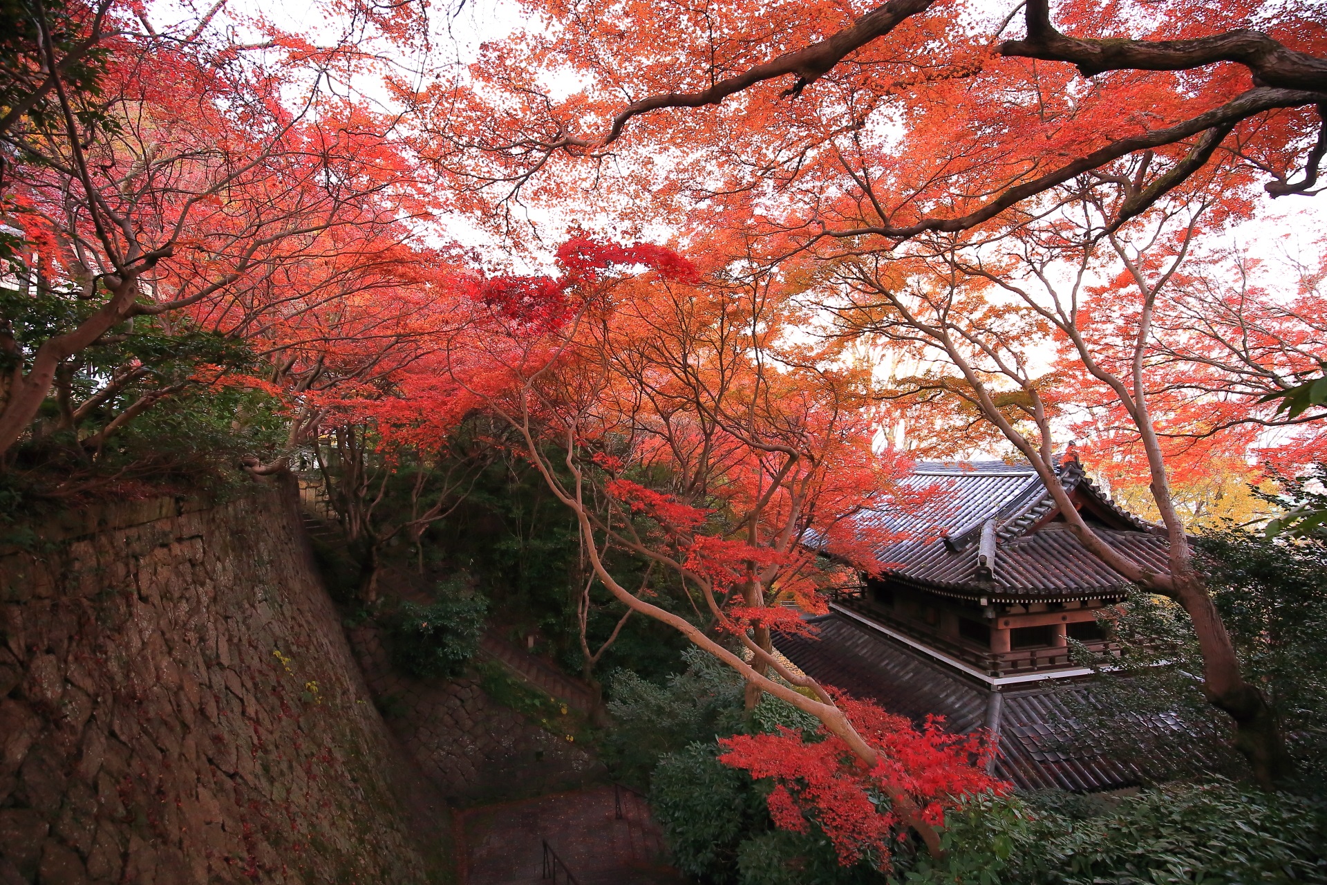 山崎聖天の素晴らしい紅葉と秋の情景