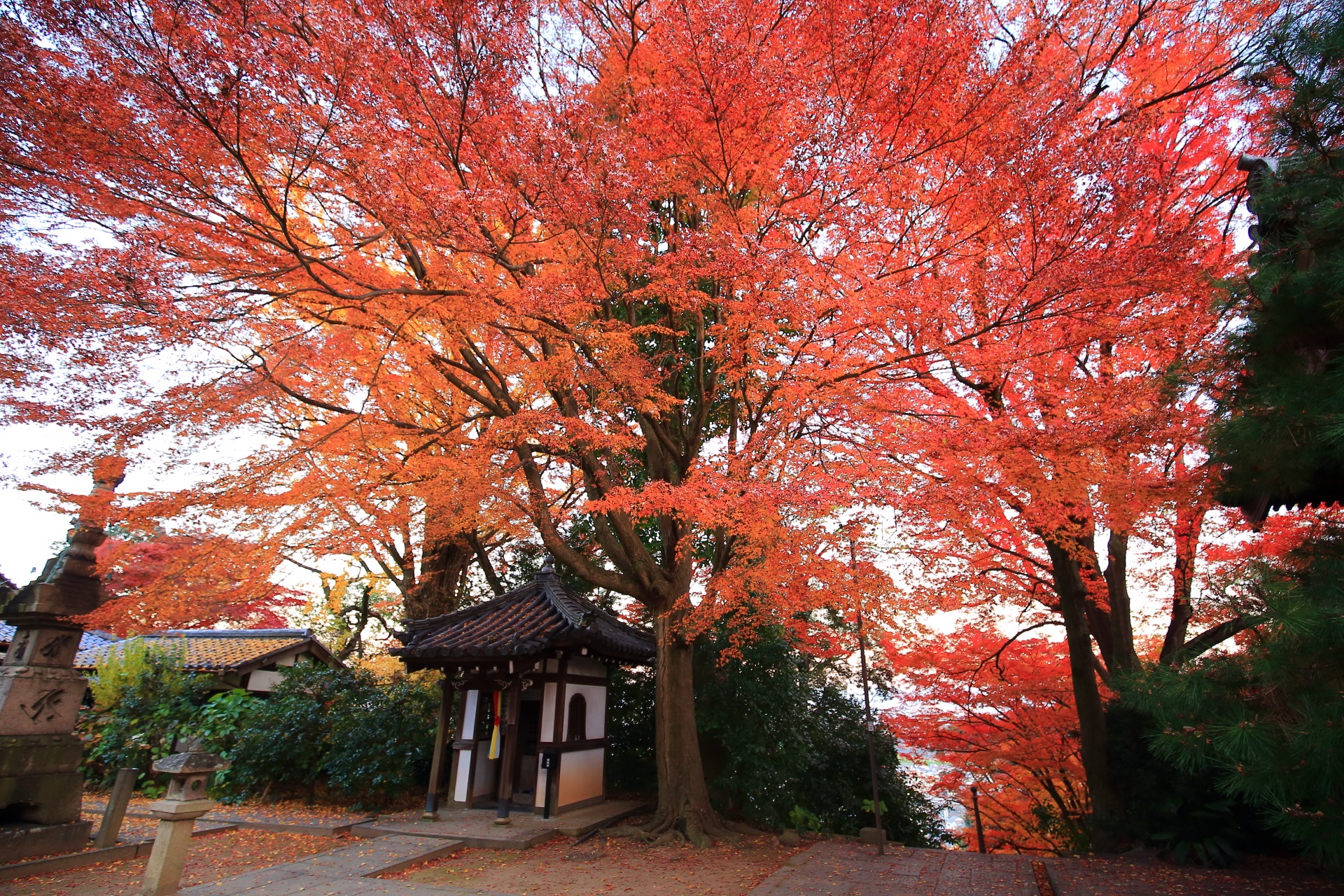 京都大山崎の隠れた紅葉の名所の山崎聖天