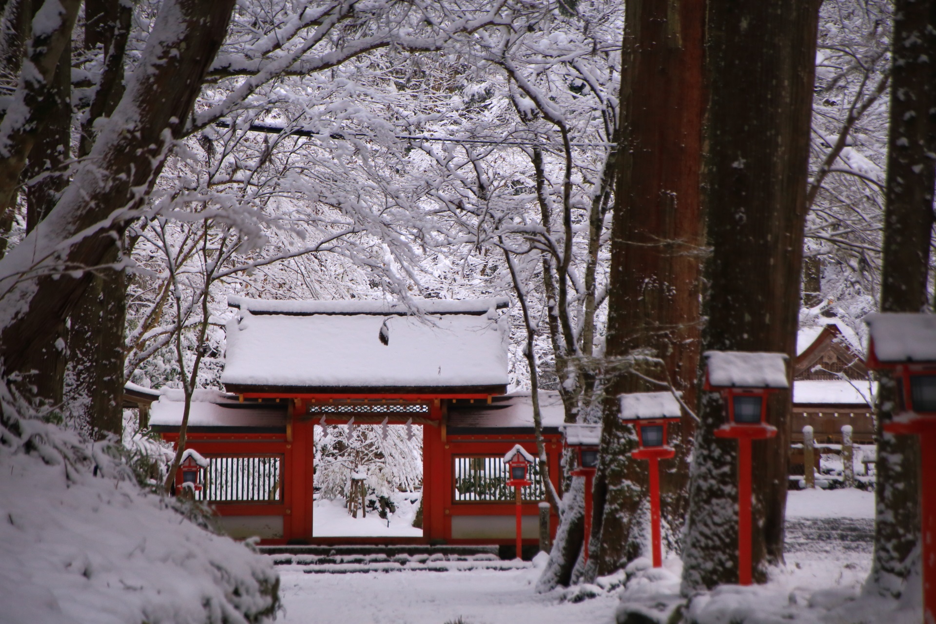 貴船神社の雪の中に佇む鮮やかな赤い門