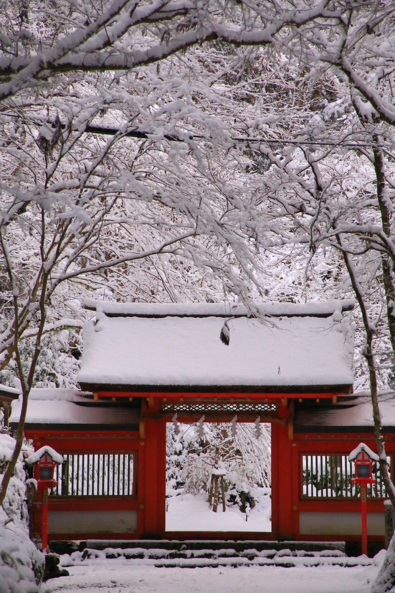 貴船神社の降り注ぐ雪の花と凛として佇む赤い門