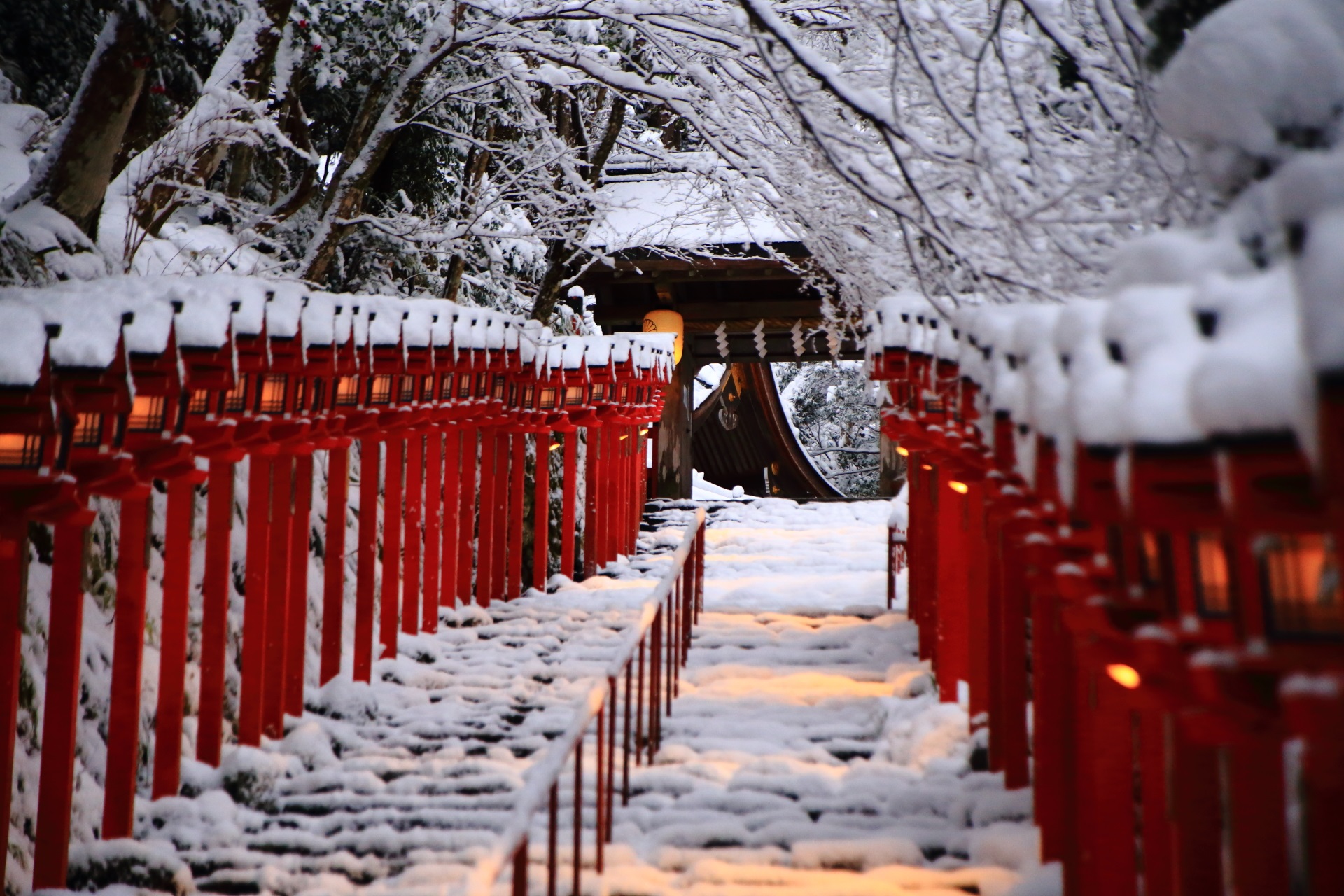 真っ白な雪につつまれる貴船神社の赤い燈籠