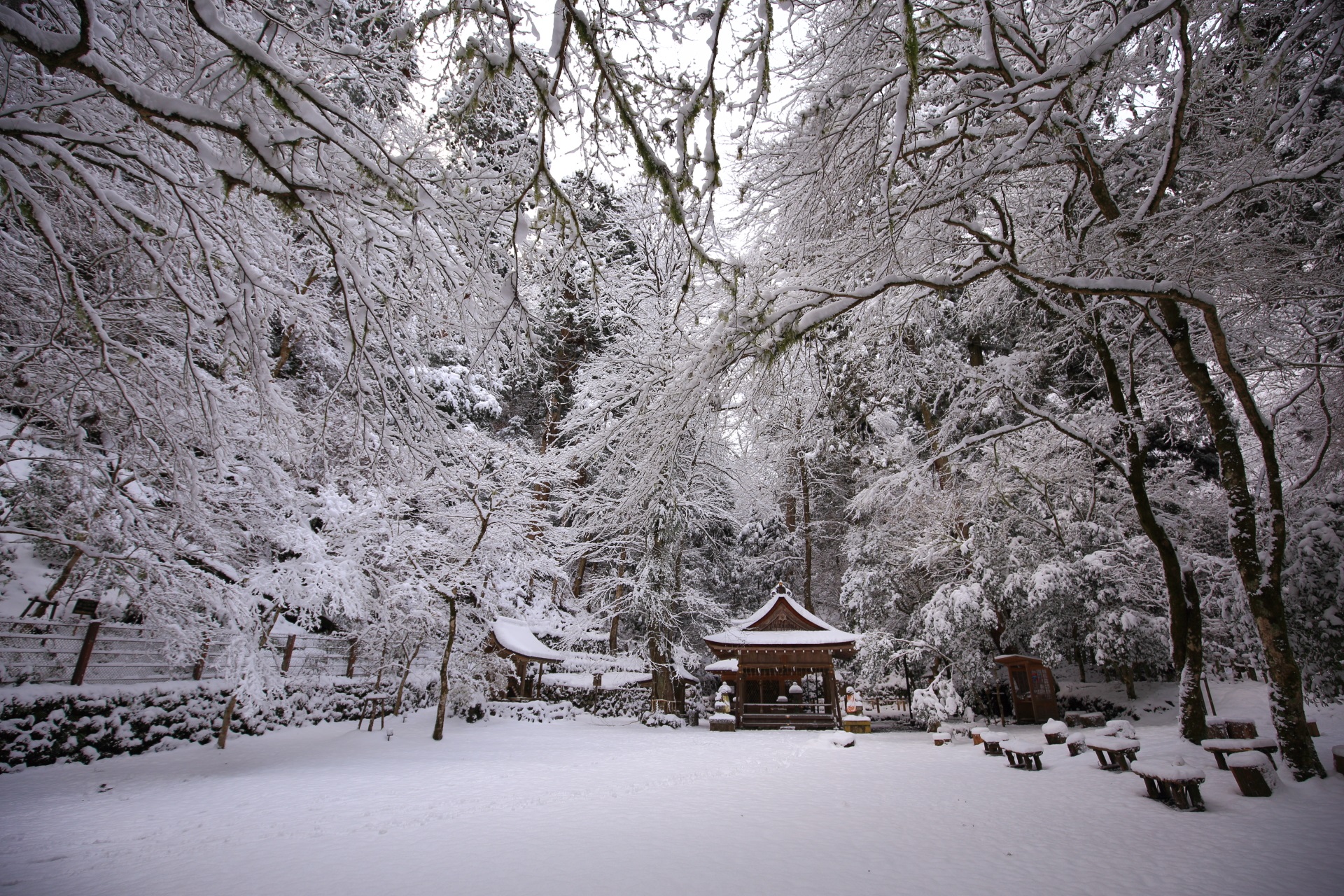 銀世界の奥宮と極上の雪の華　真っ白な冬の貴船神社