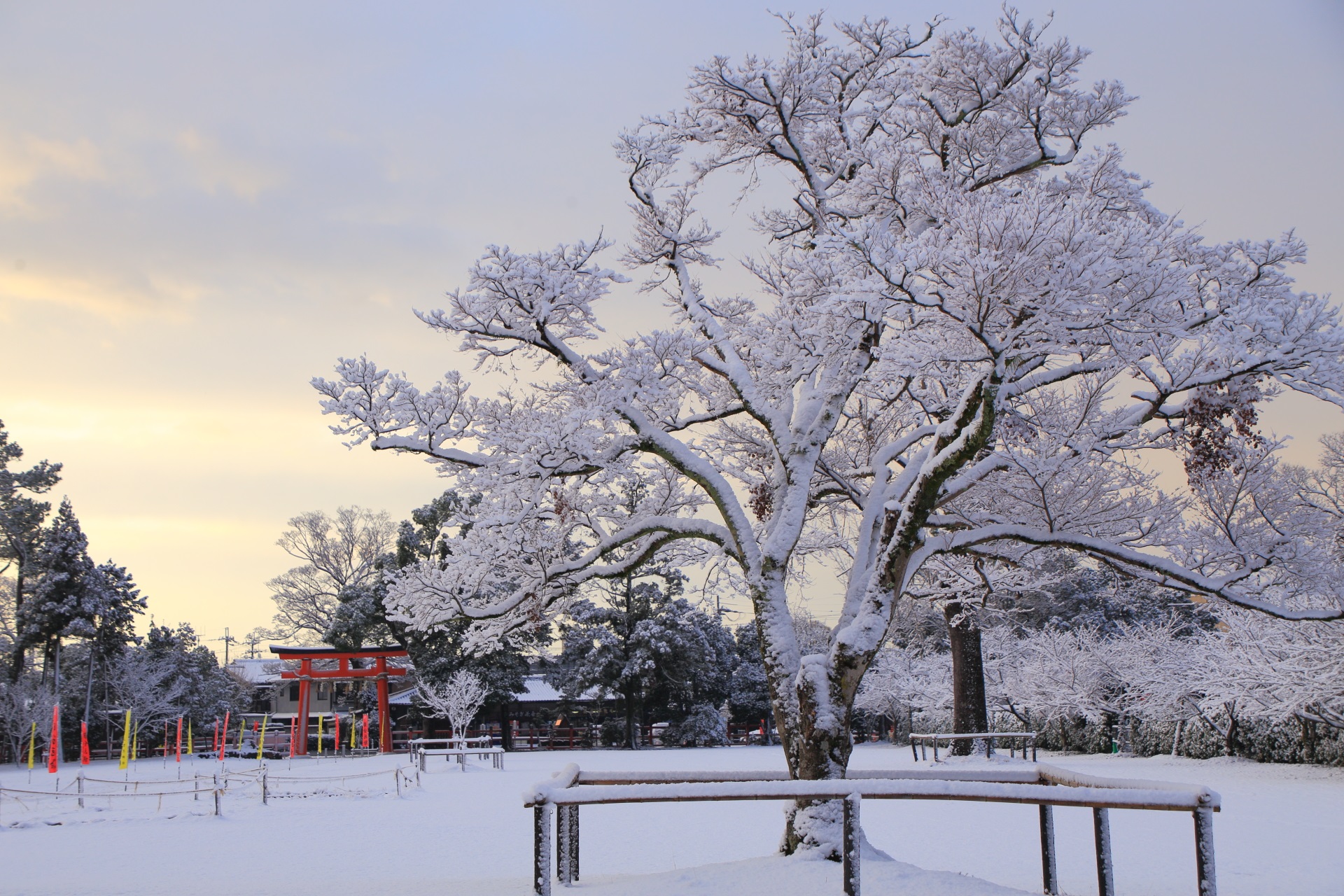 上賀茂神社の雪の中に佇む赤い鳥居