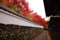 鍬山神社 本殿周辺の紅葉④