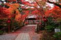 鍬山神社 拝殿前の石橋の紅葉⑨