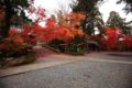 鍬山神社の紅葉①