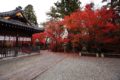 鍬山神社 拝殿周辺の紅葉①