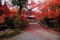 鍬山神社 拝殿前の石橋の紅葉⑩