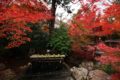 鍬山神社 手水の池の紅葉